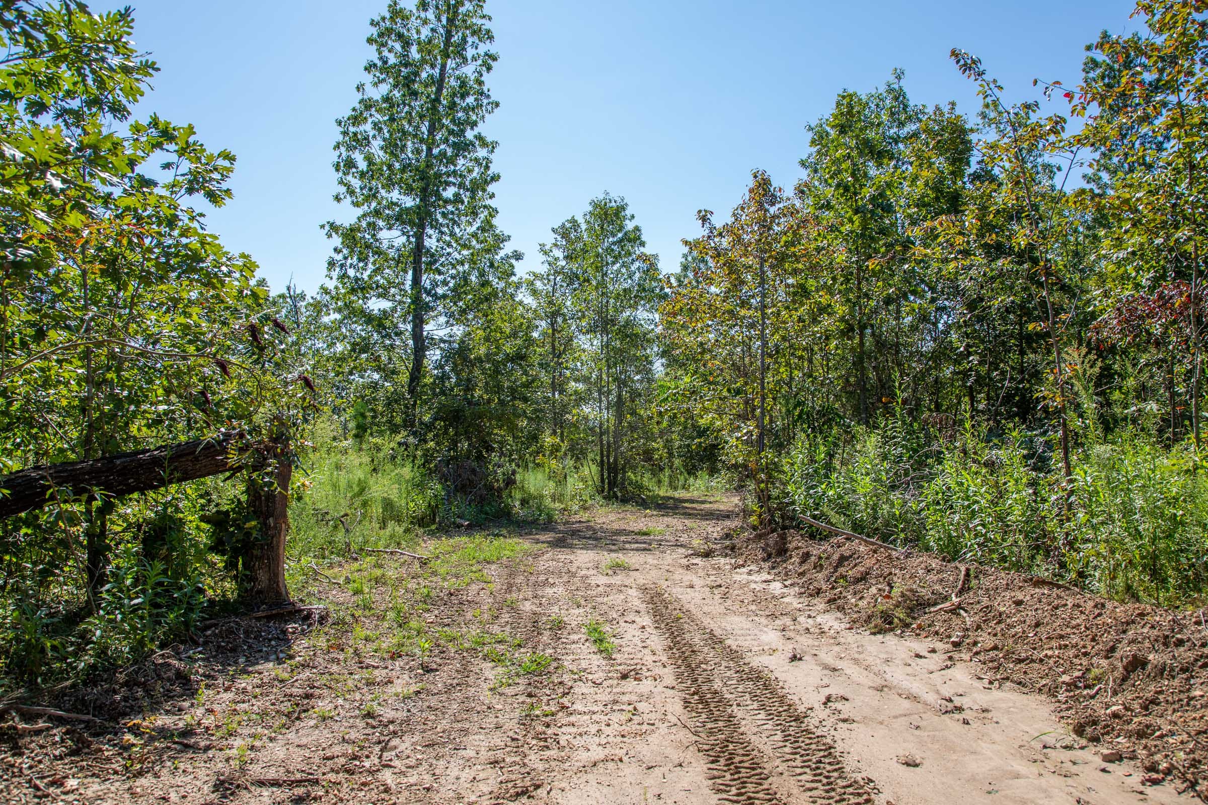 Borgmann’s Hollow Phase II Tract 57 photo 1