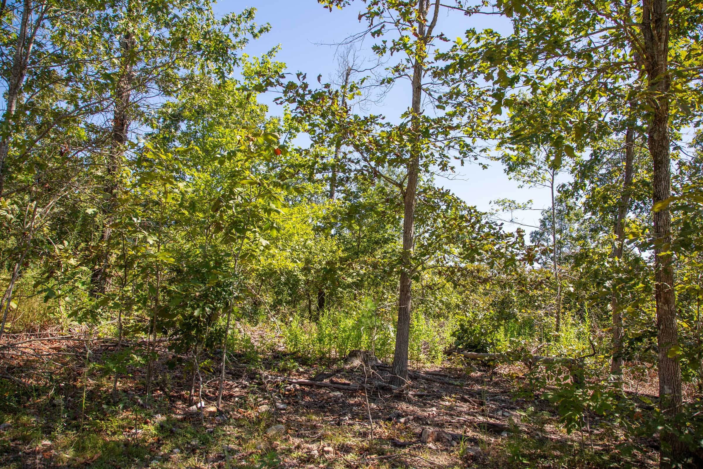 Borgmann’s Hollow Phase II Tract 57 photo 5