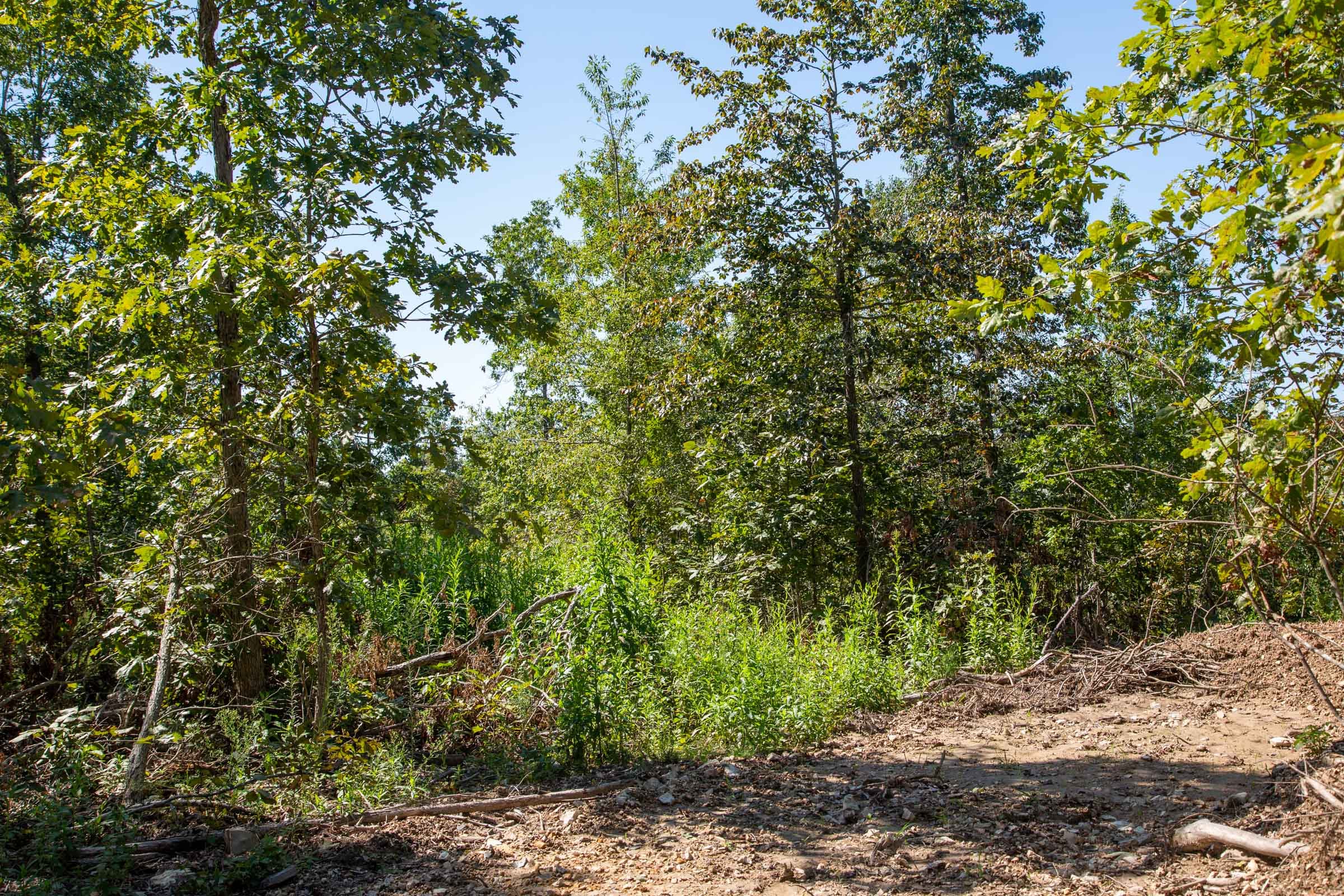 Borgmann’s Hollow Phase II Tract 57 photo 8