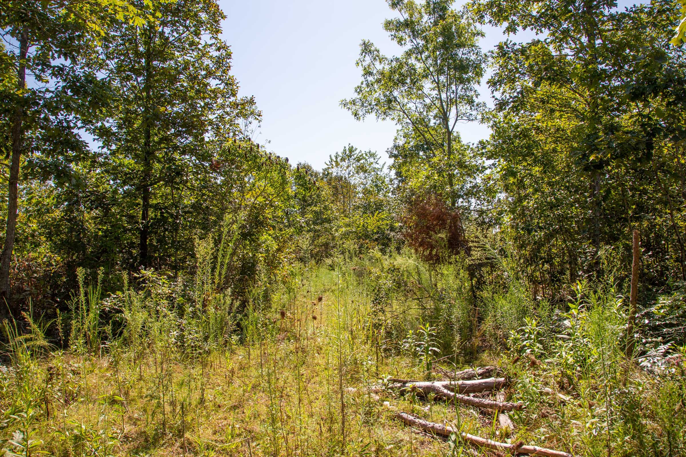 Borgmann’s Hollow Phase II Tract 57 photo 9
