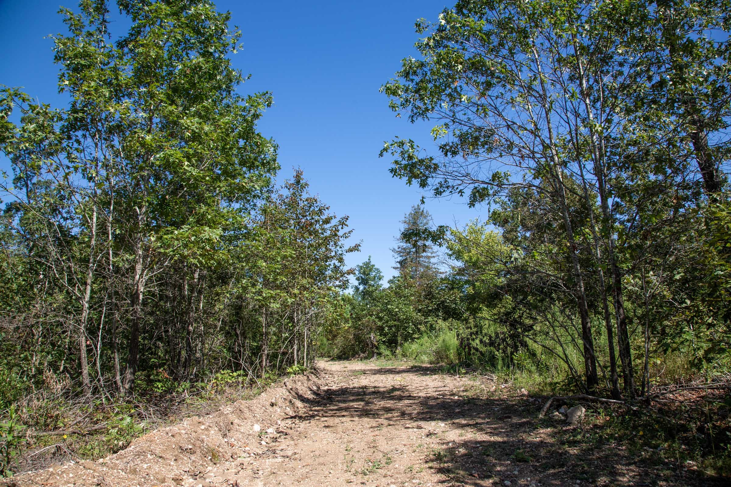 Borgmann’s Hollow Phase II Tract 57 photo 7