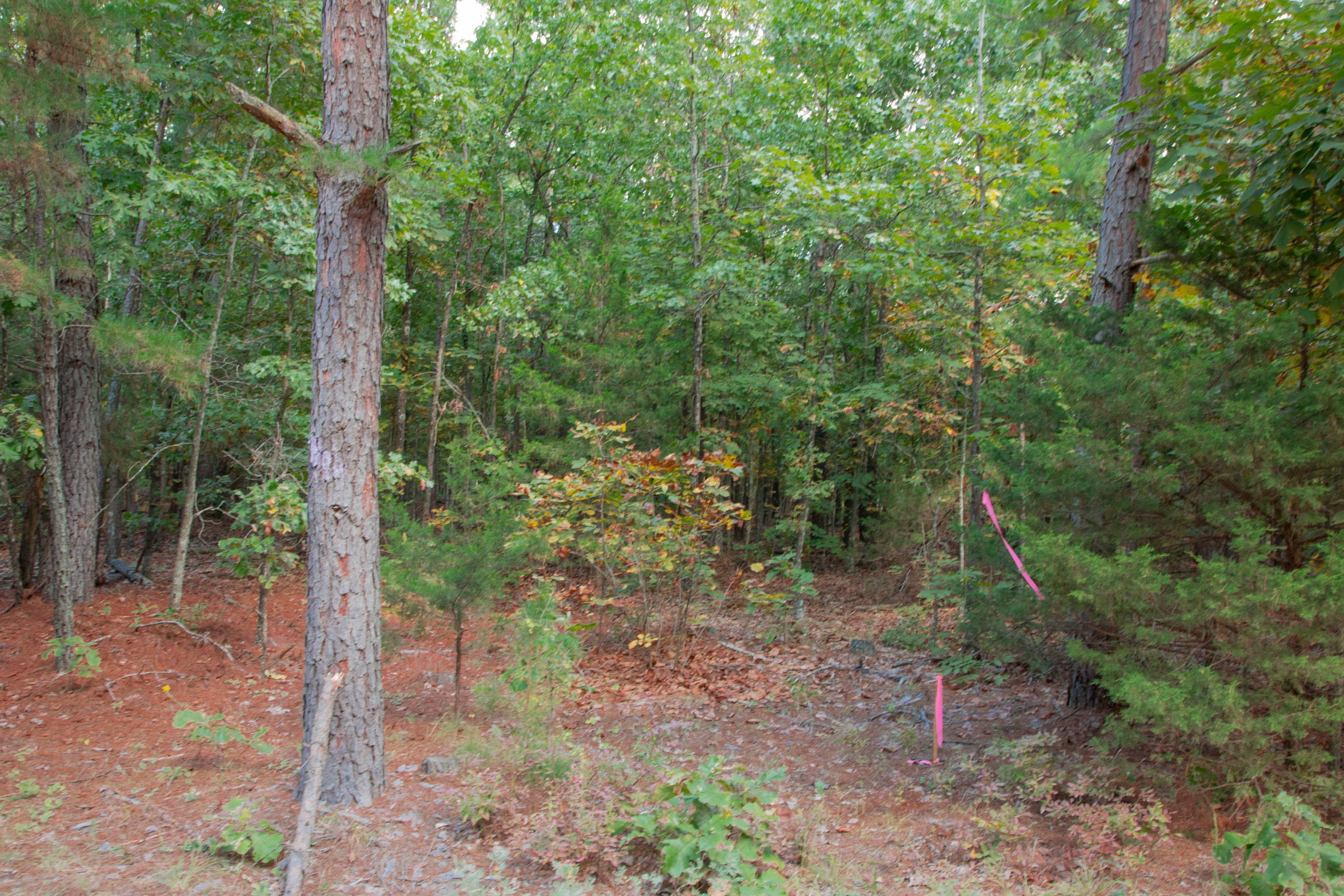 Wagon Wheel Ranch Tract 4 photo 3