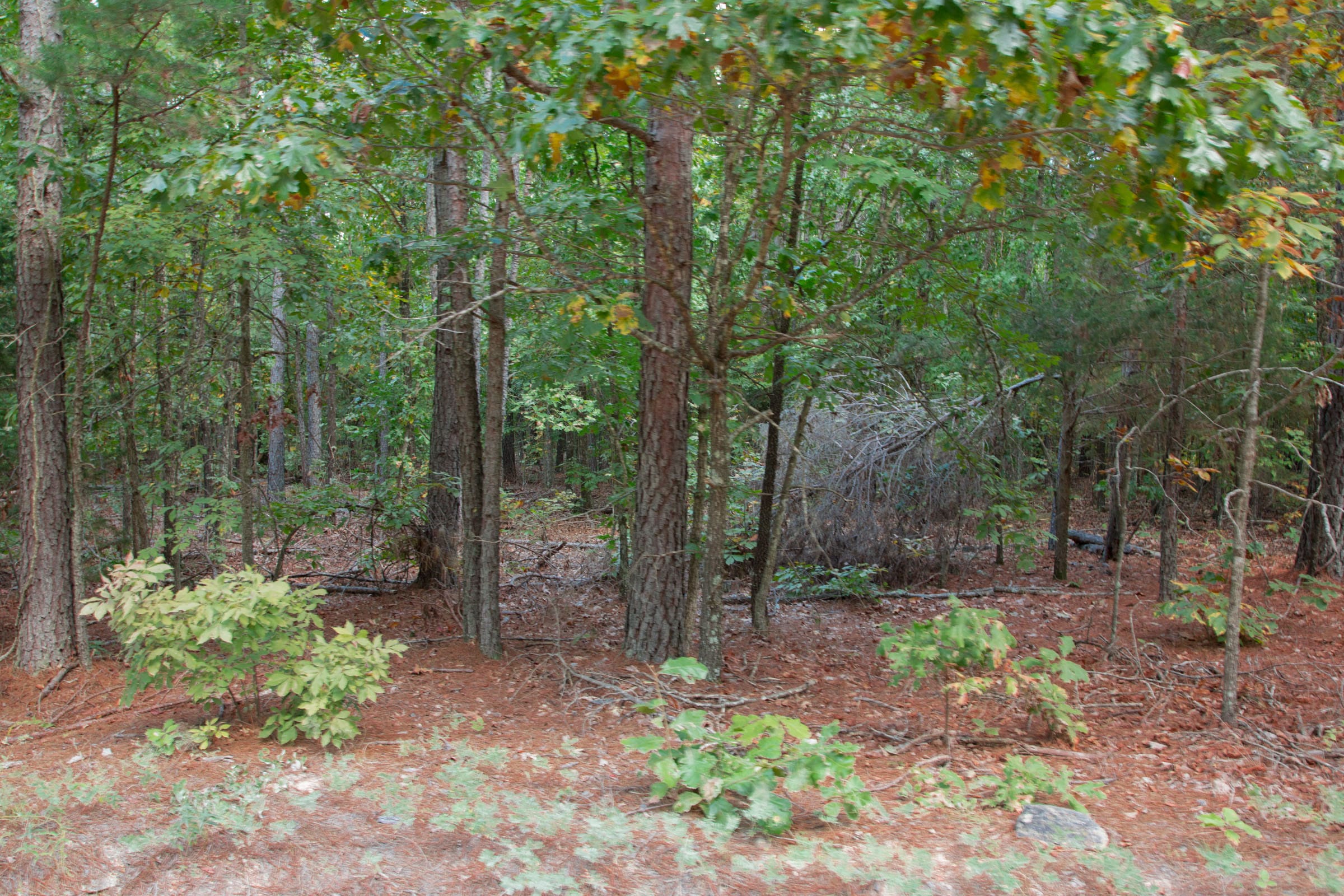 Wagon Wheel Ranch Tract 4 photo 1