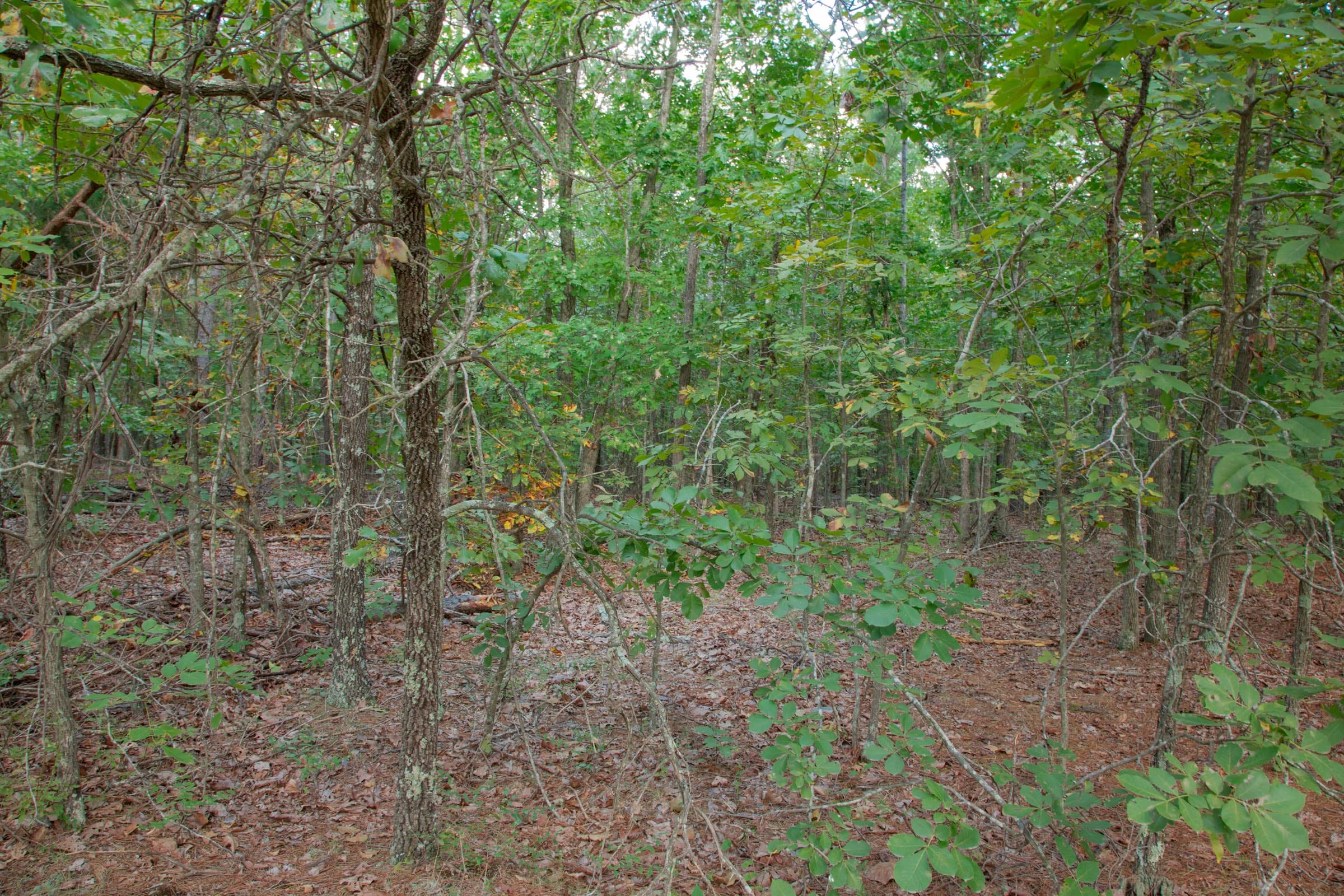 Wagon Wheel Ranch Tract 4 photo 9