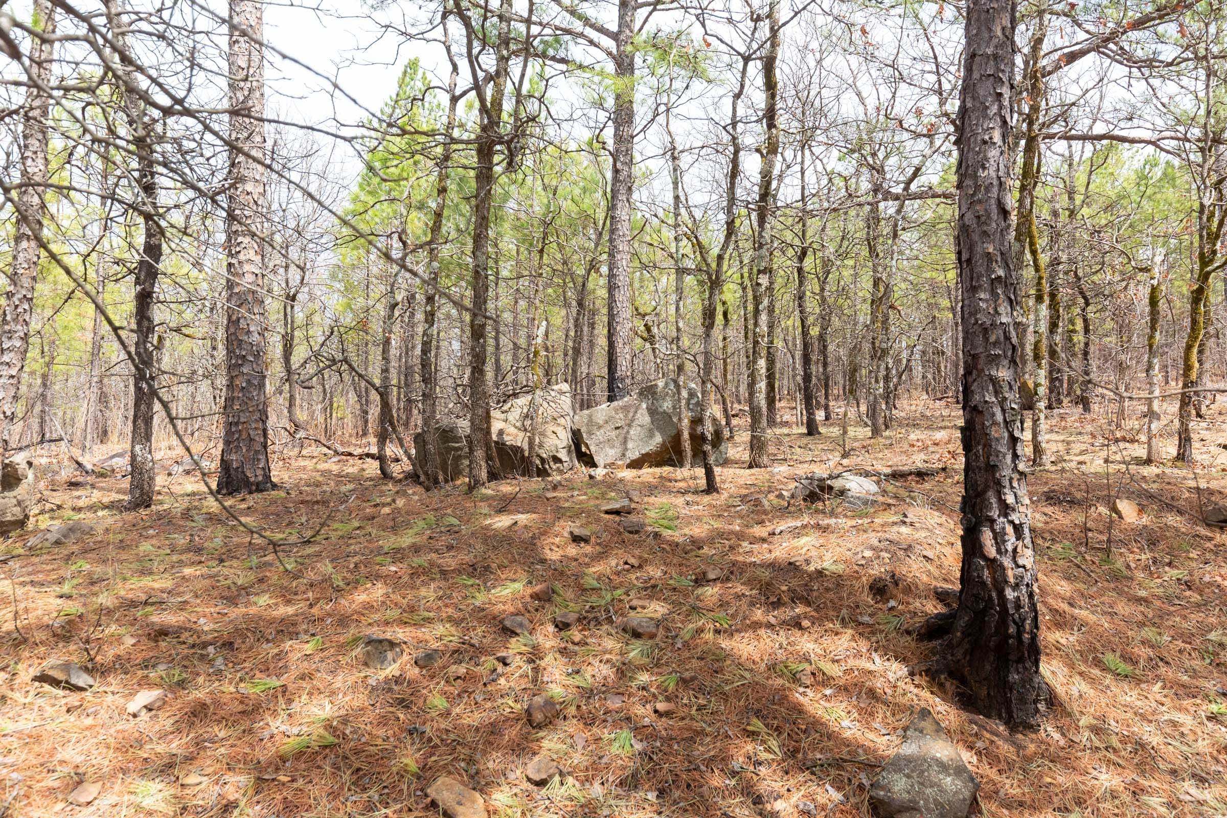Stone Bridge Phase III Tract 210 photo 10