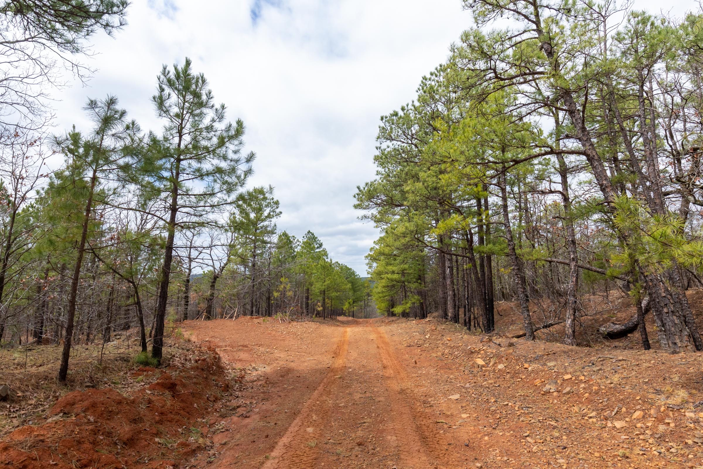 Stone Bridge Phase III Tract 210 photo 12