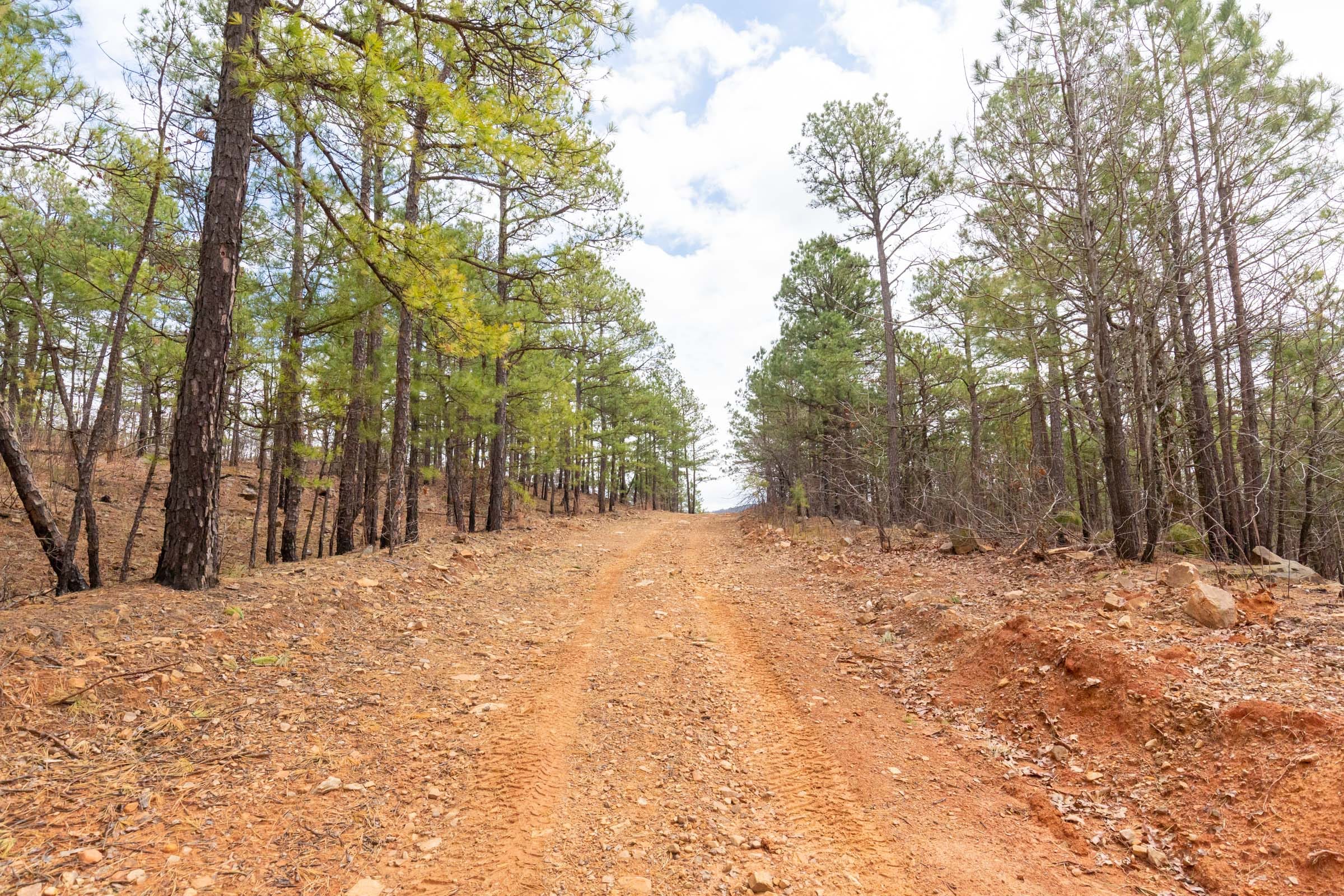 Stone Bridge Phase III Tract 210 photo 13