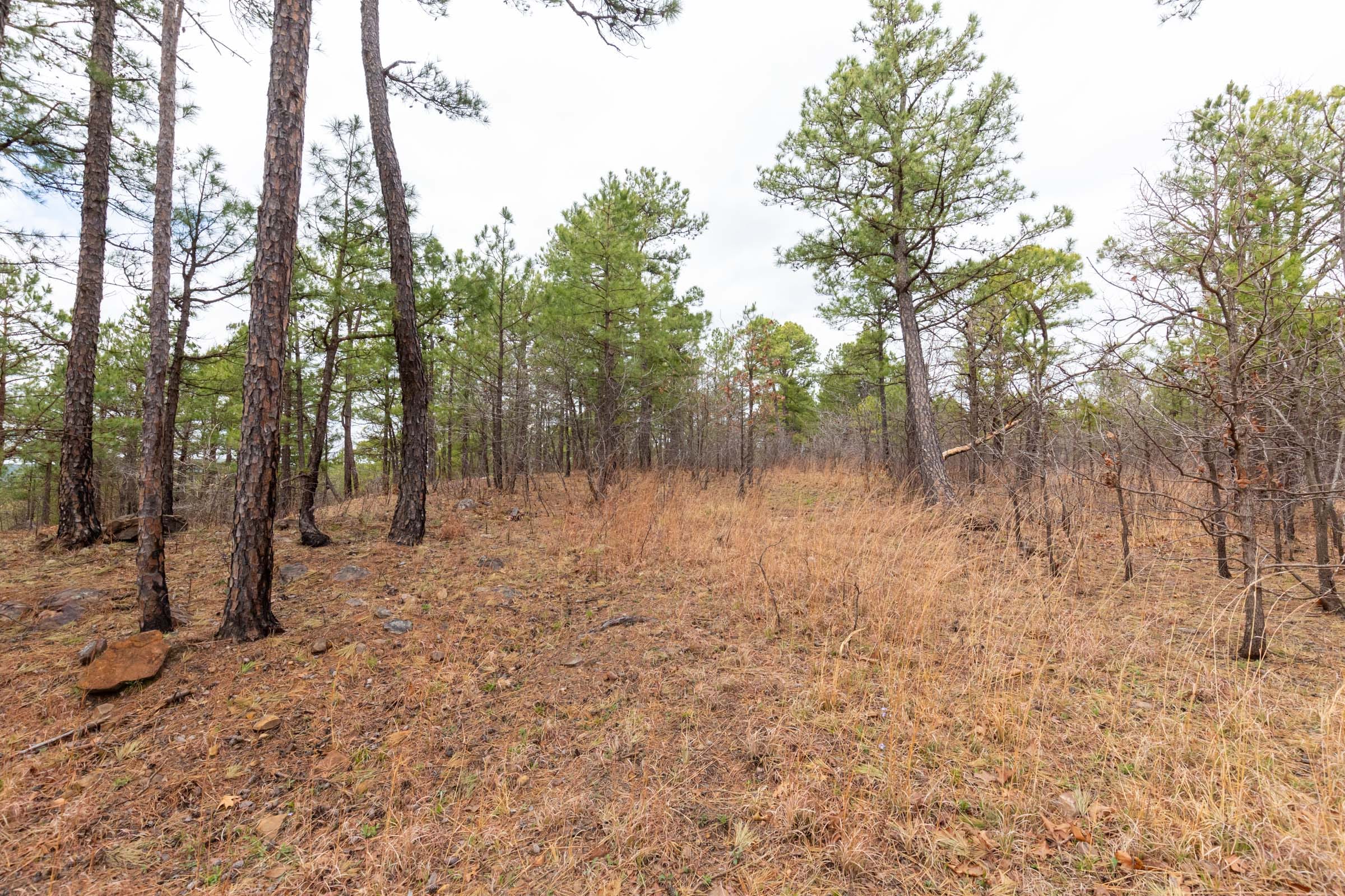 Stone Bridge Phase III Tract 210 photo 15