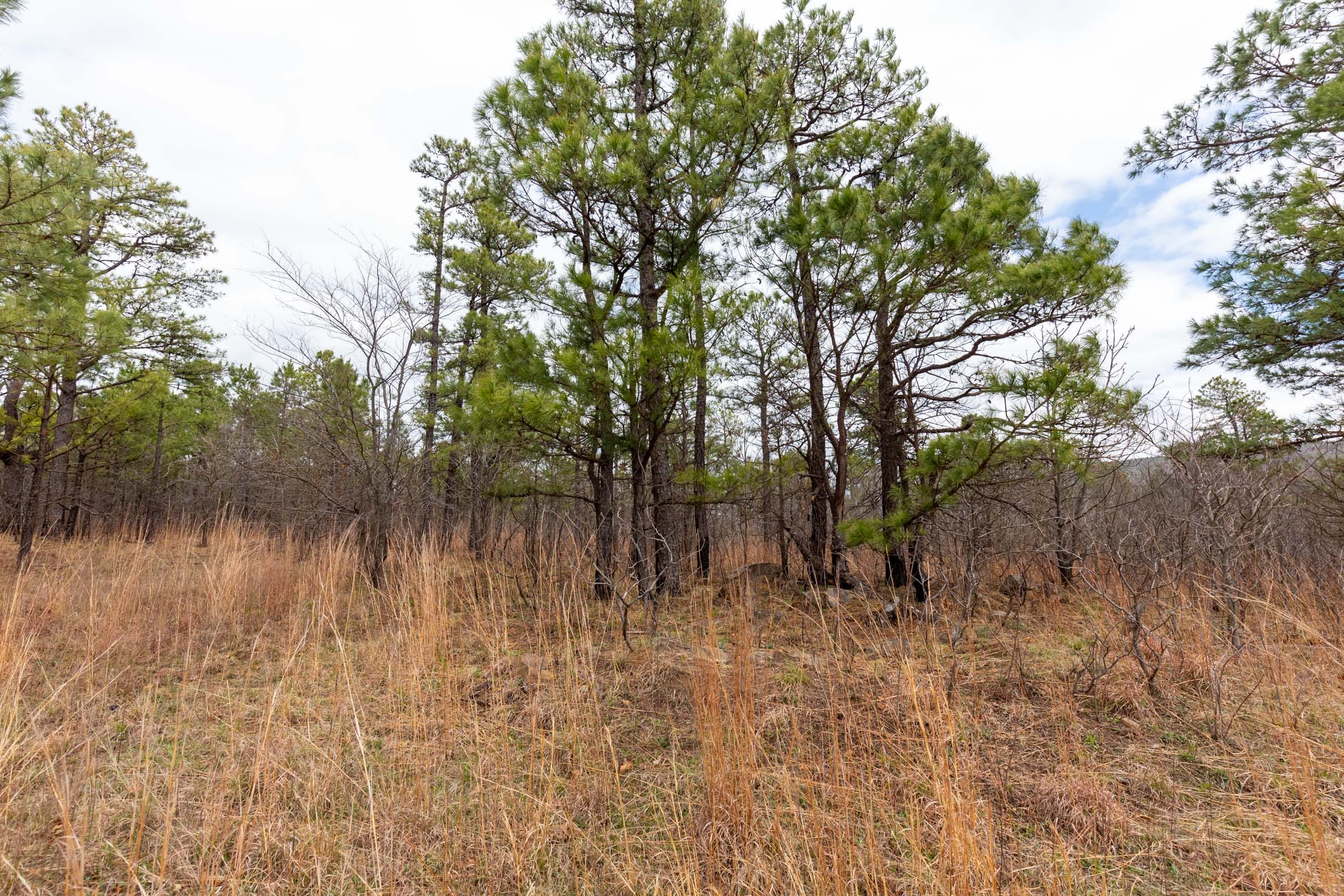 Stone Bridge Phase III Tract 210 photo 16