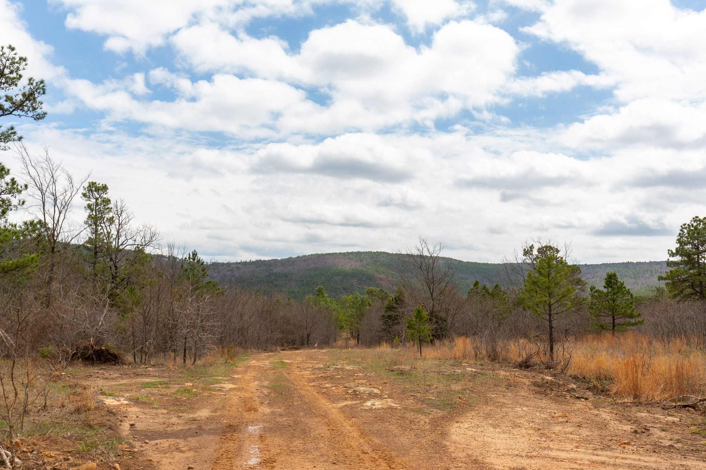Stone Bridge Phase III Tract 210 photo 17