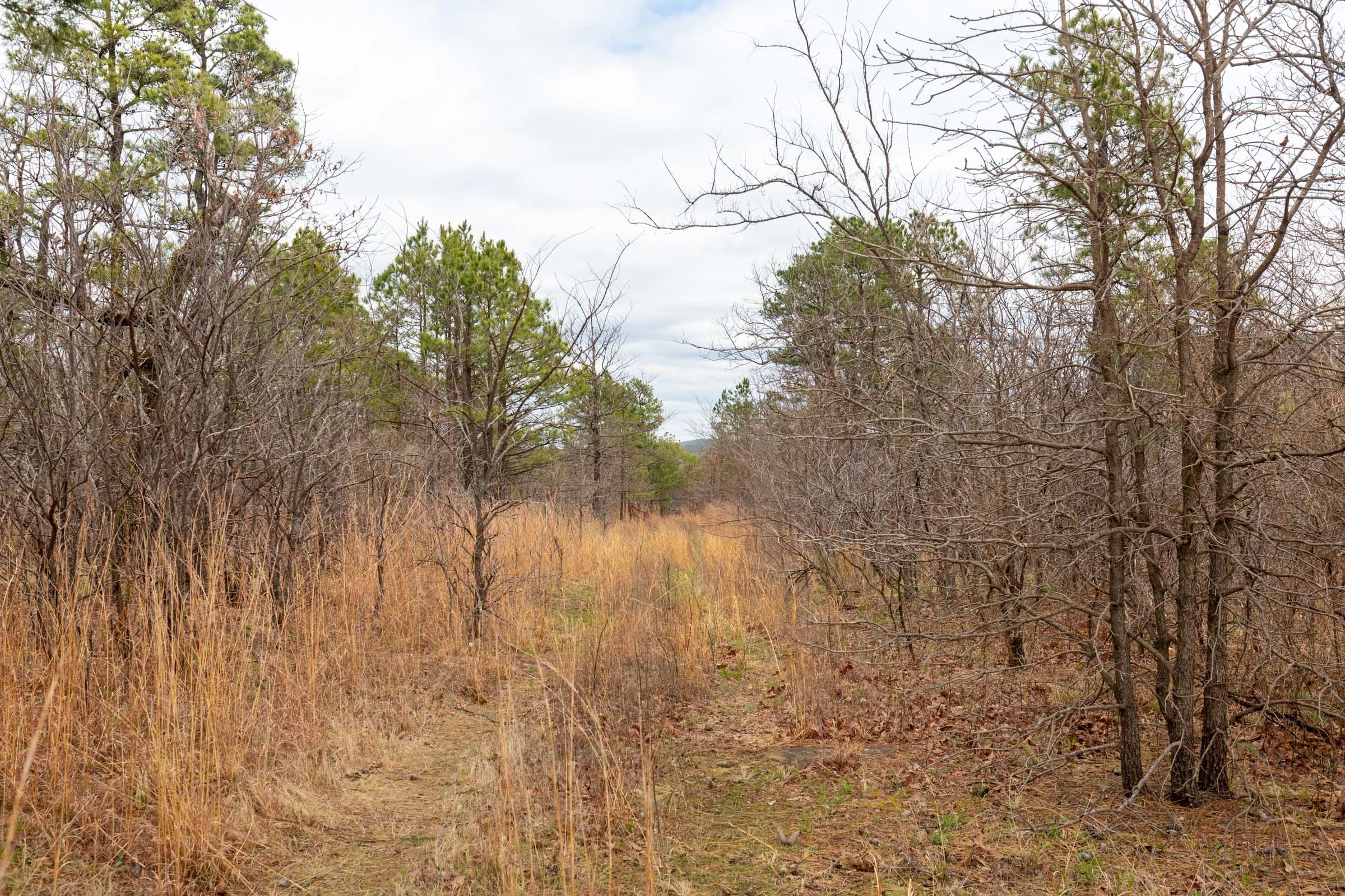 Stone Bridge Phase III Tract 210 photo 18