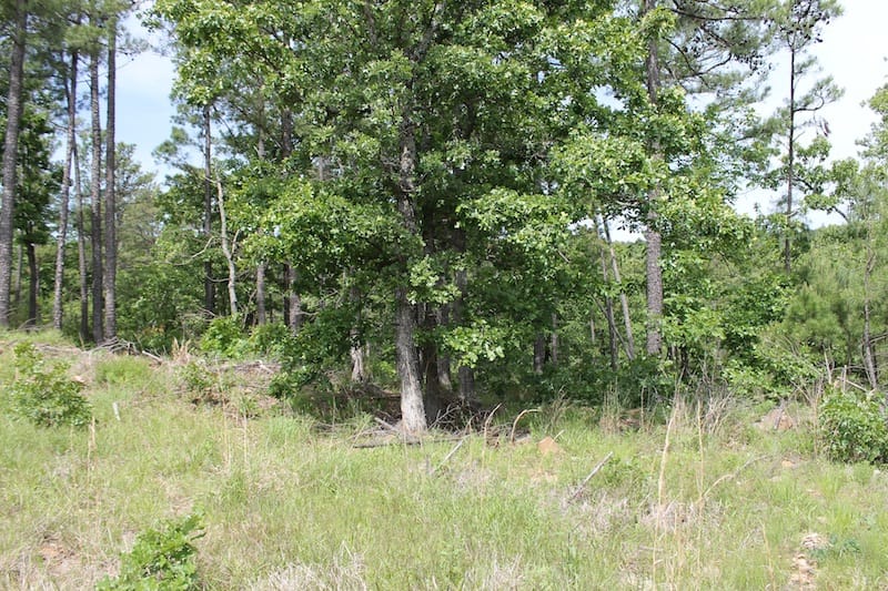 Indian Ridge – Phase II Tract 73 photo 1