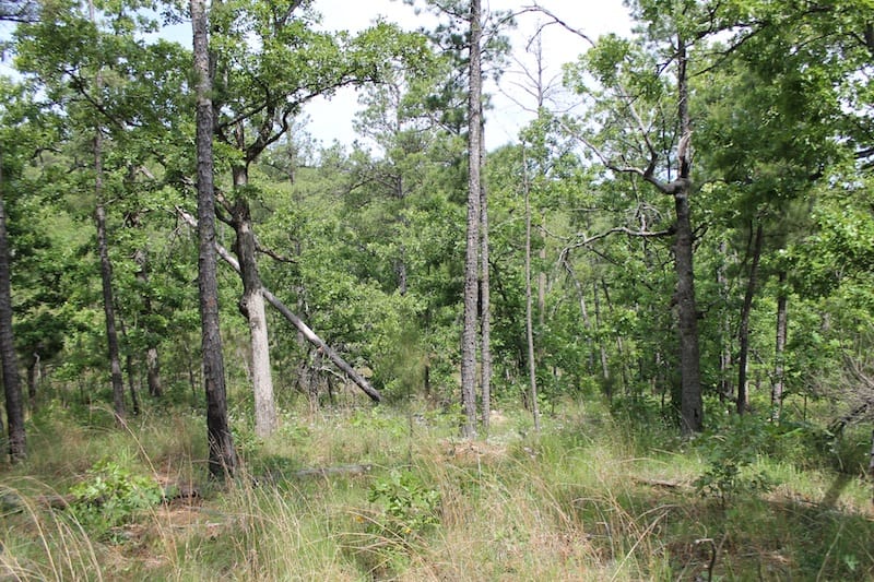 Indian Ridge – Phase II Tract 73 photo 6