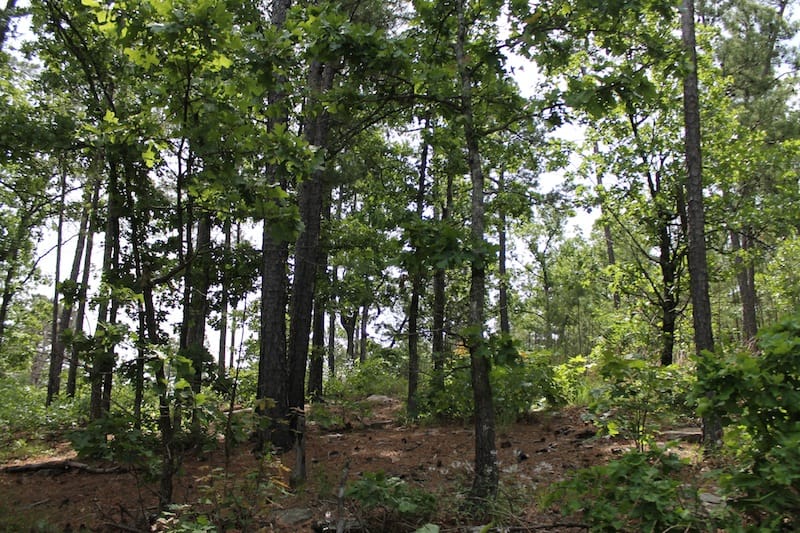 Indian Ridge – Phase II Tract 73 photo 9