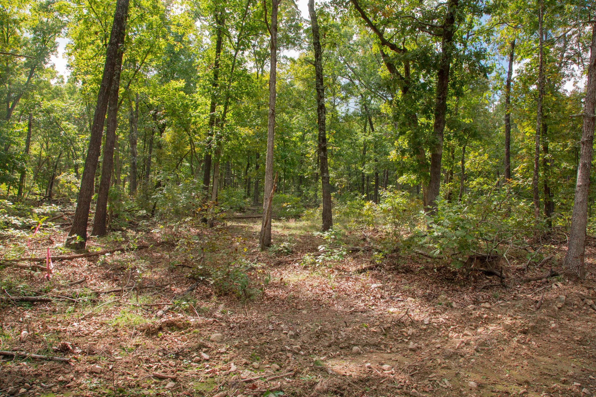 Wagon Wheel Ranch Tract 29 photo 1