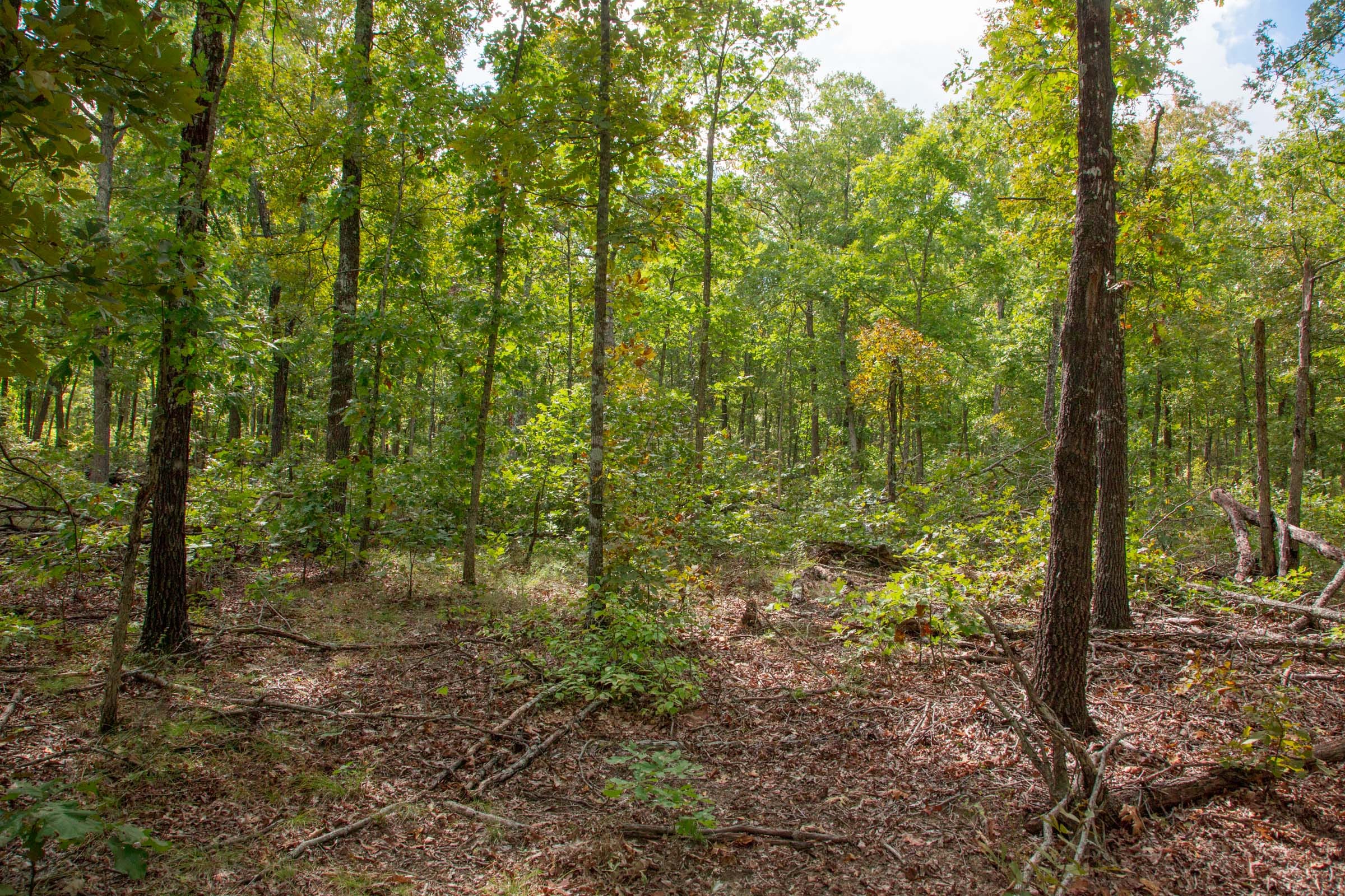 Wagon Wheel Ranch Tract 29 photo 5