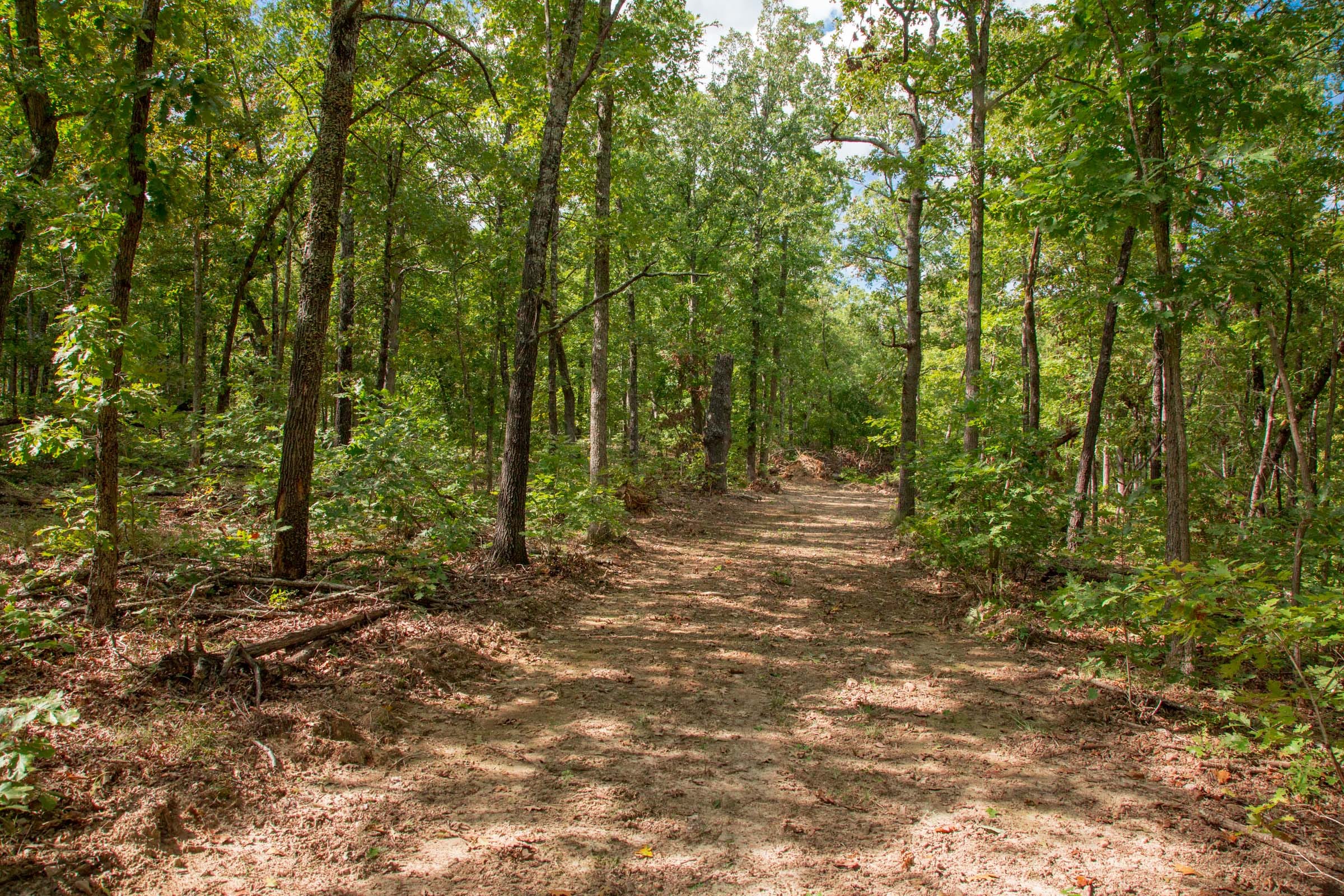 Wagon Wheel Ranch Tract 29 photo 8