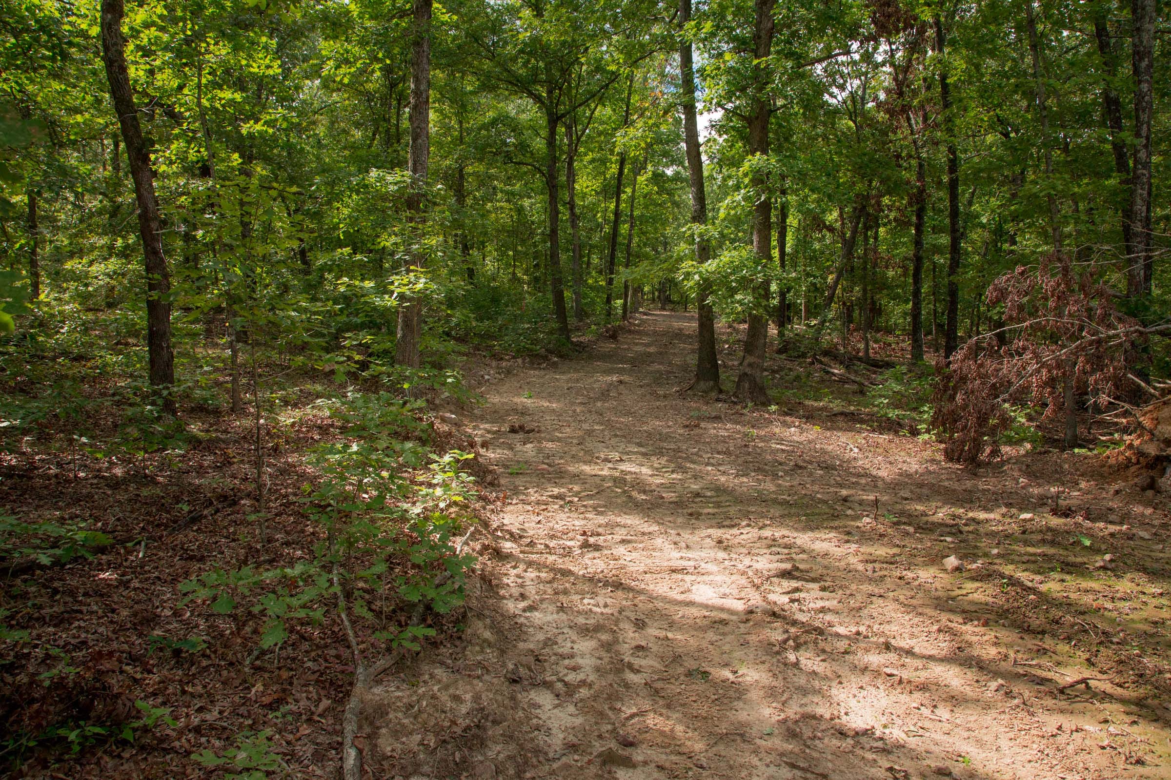 Wagon Wheel Ranch Tract 29 photo 4