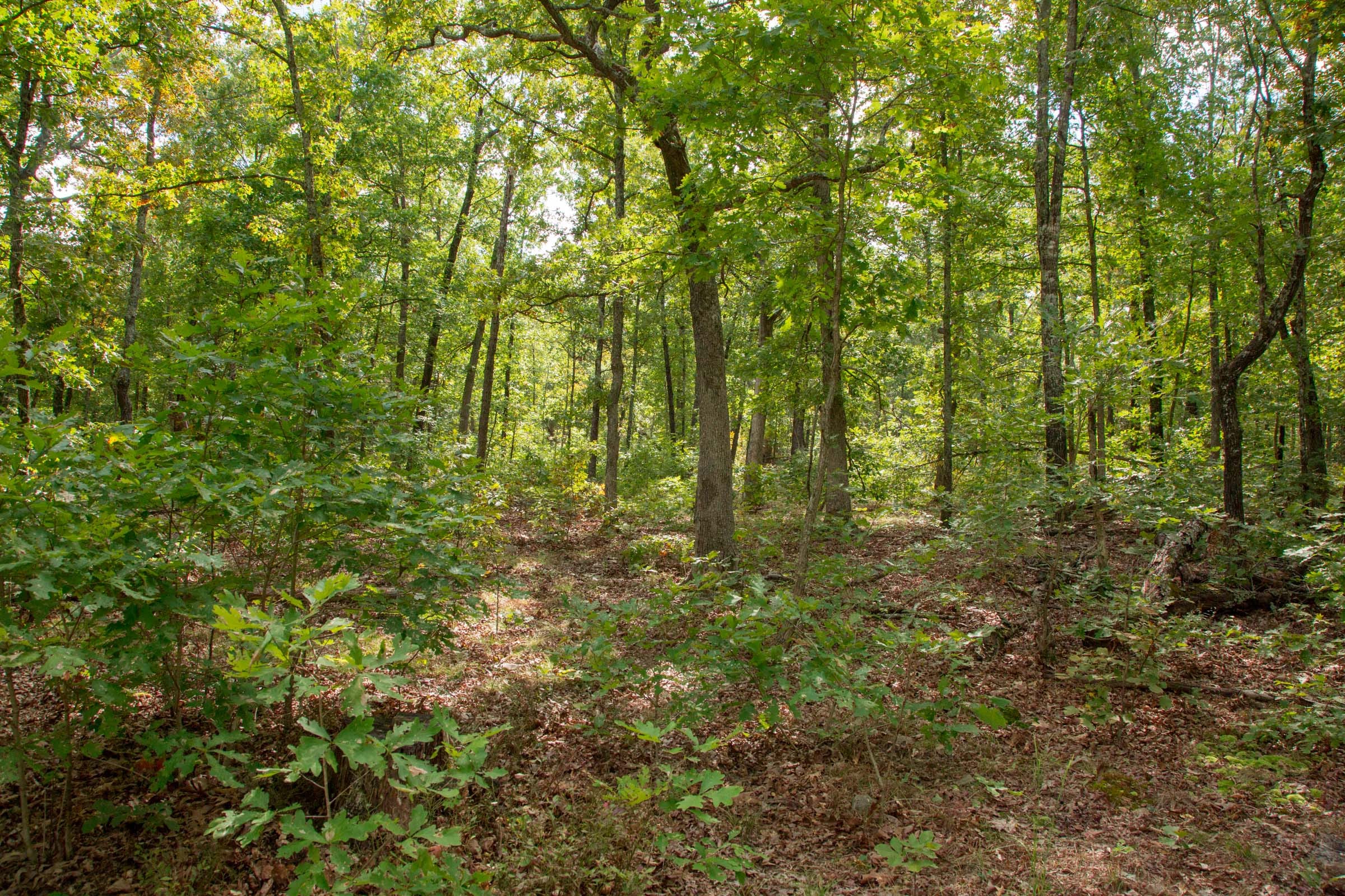 Wagon Wheel Ranch Tract 29 photo 9