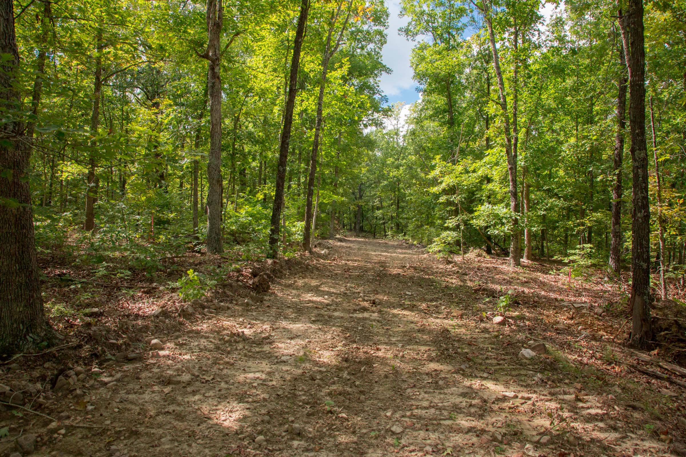 Wagon Wheel Ranch Tract 29 photo 2