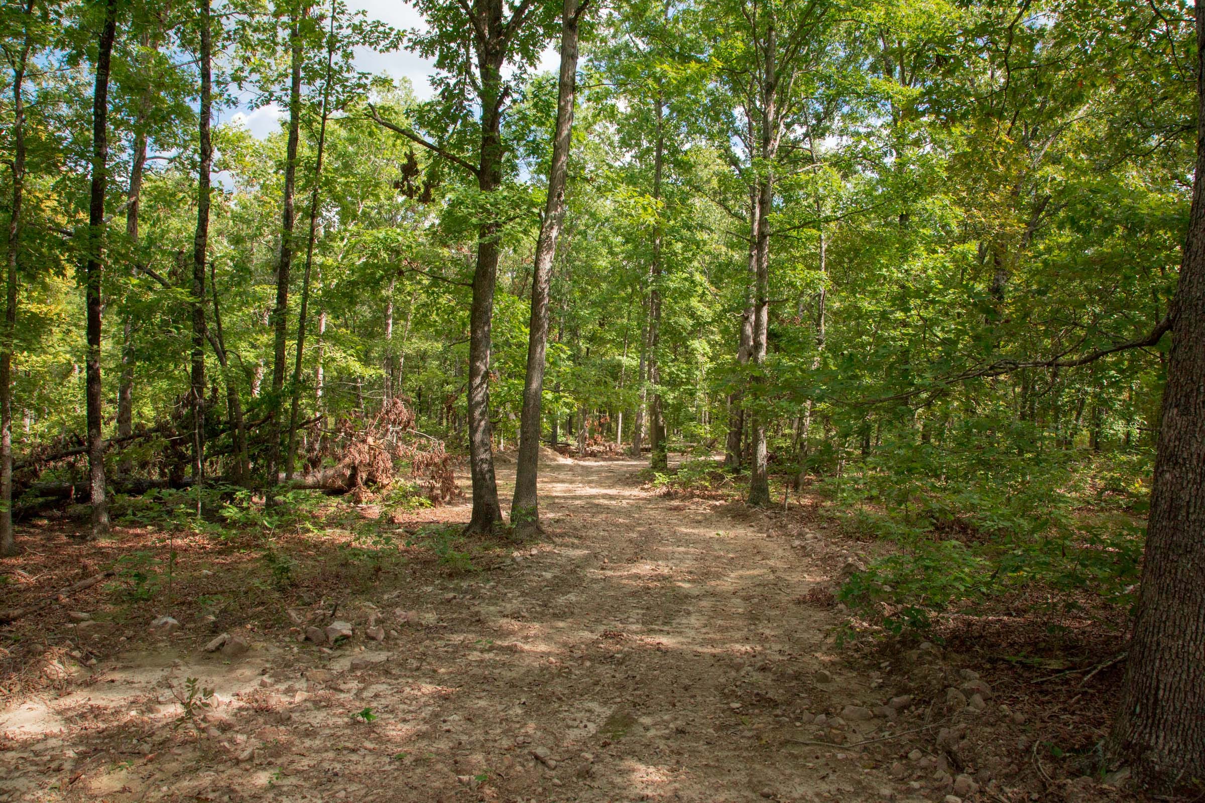 Wagon Wheel Ranch Tract 29 photo 11