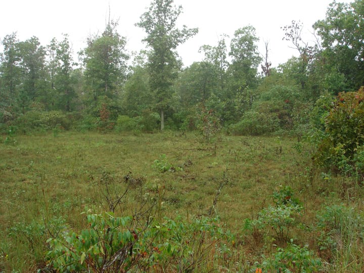 Ranches Of Montauk Park Tract 6 photo 1