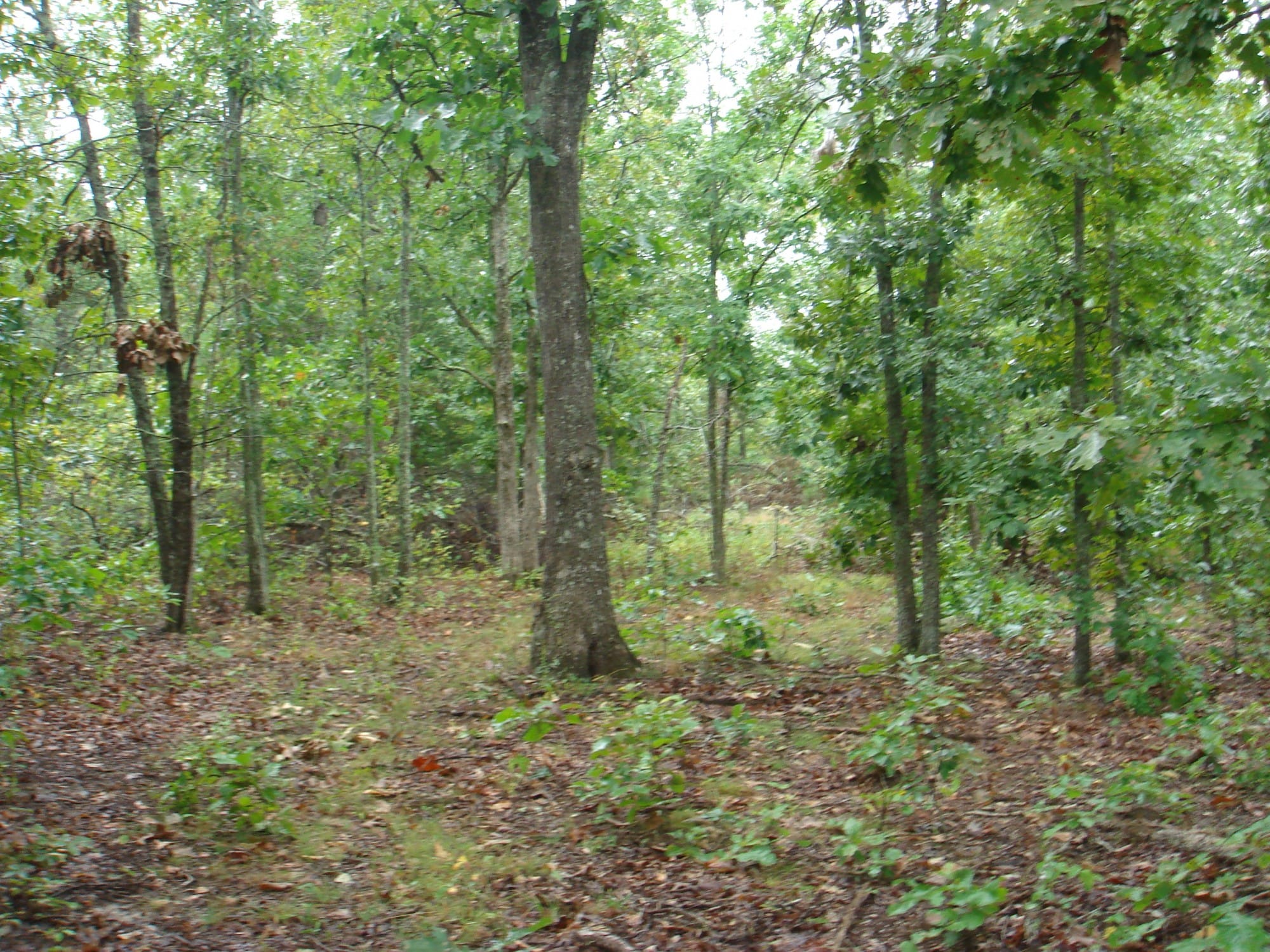 Ranches Of Montauk Park Tract 6 photo 2