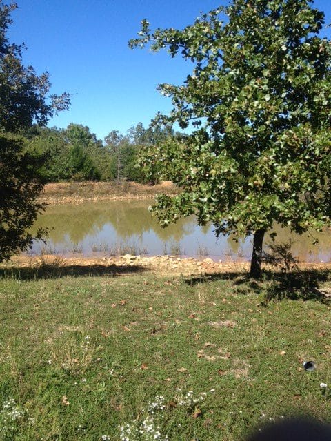 Ranches Of Montauk Park Tract 6 photo 5
