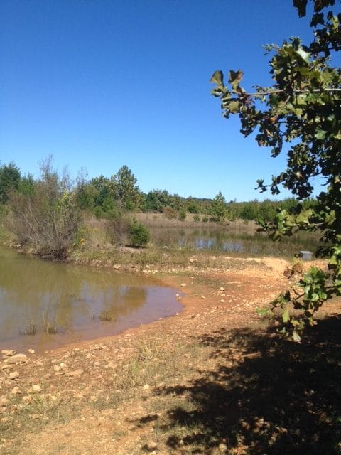 Ranches Of Montauk Park Tract 6 photo 6