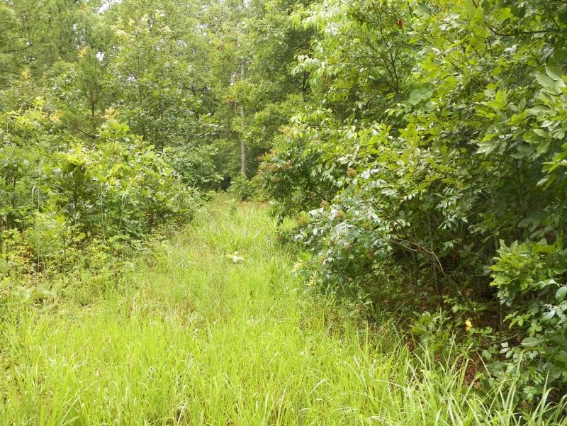Ranches Of Montauk Park Tract 6 photo 9