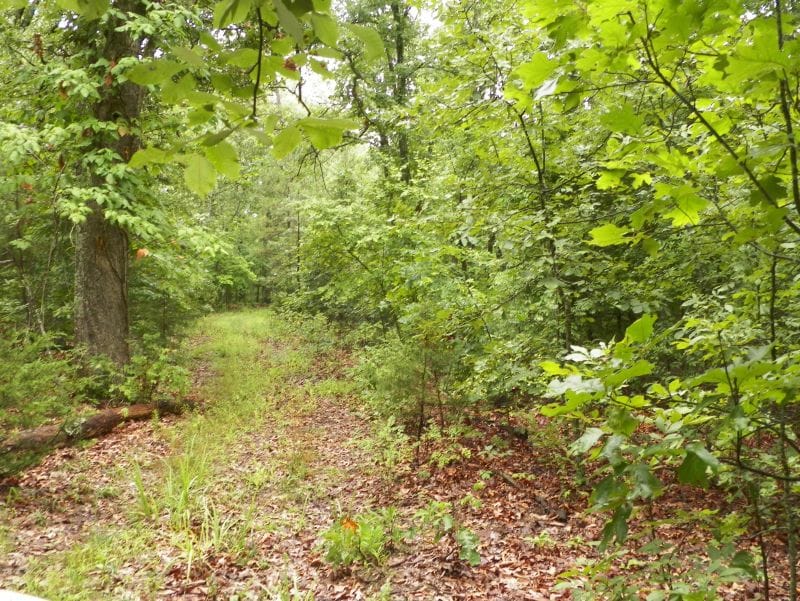 Ranches Of Montauk Park Tract 6 photo 10