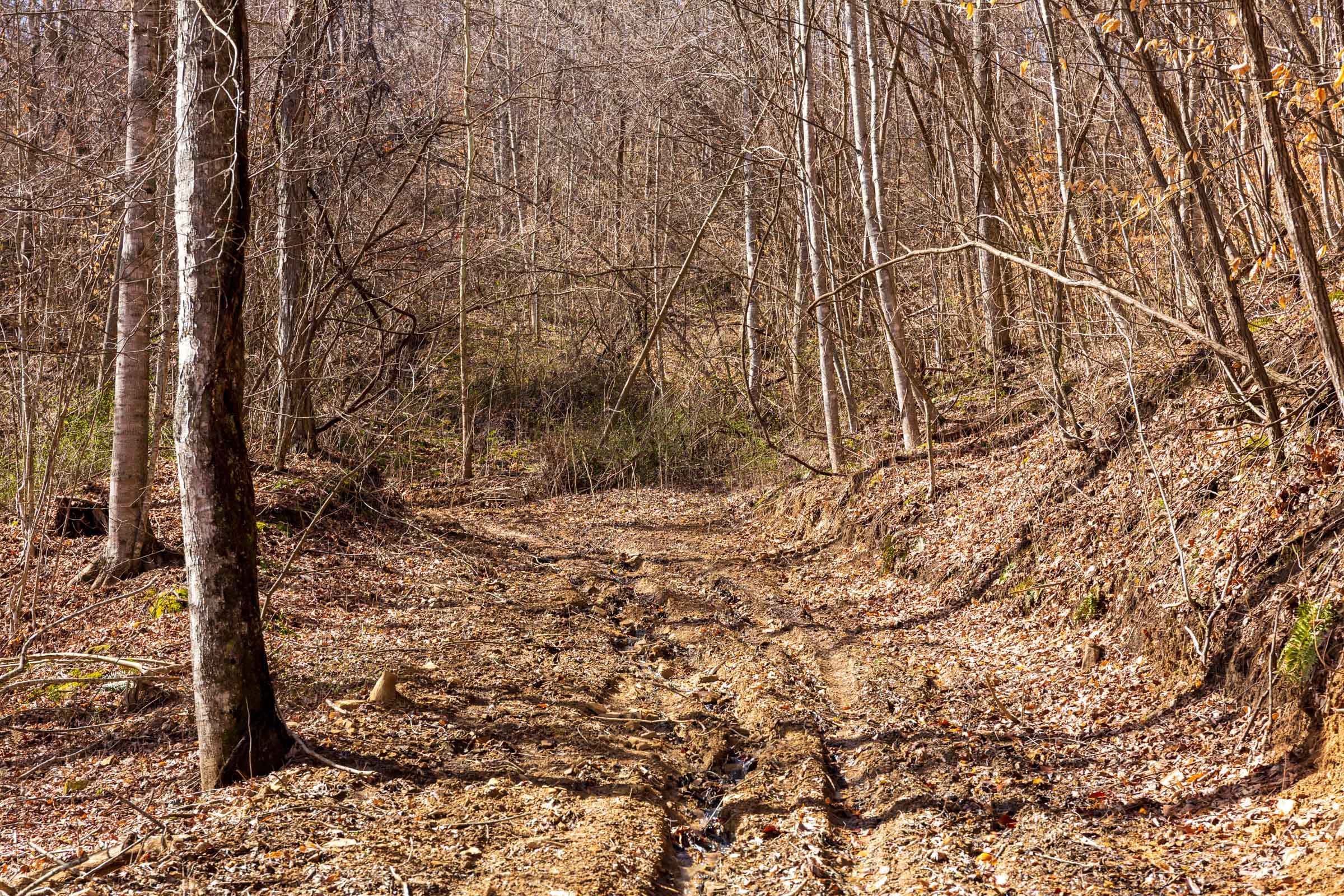 Blackstone Mountain Phase II Tract 81 photo 1