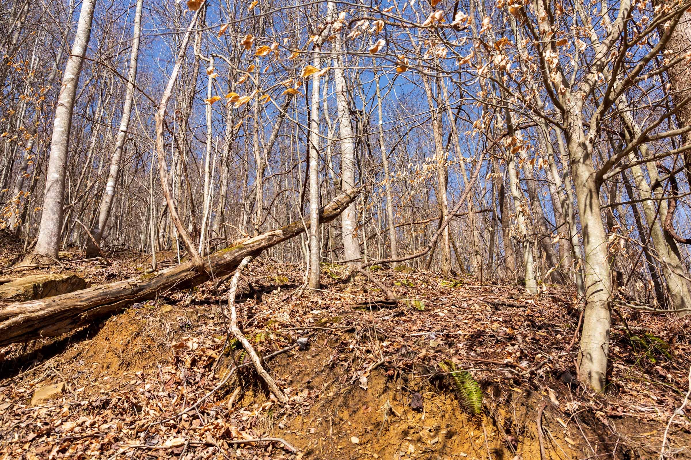 Blackstone Mountain Phase II Tract 81 photo 2