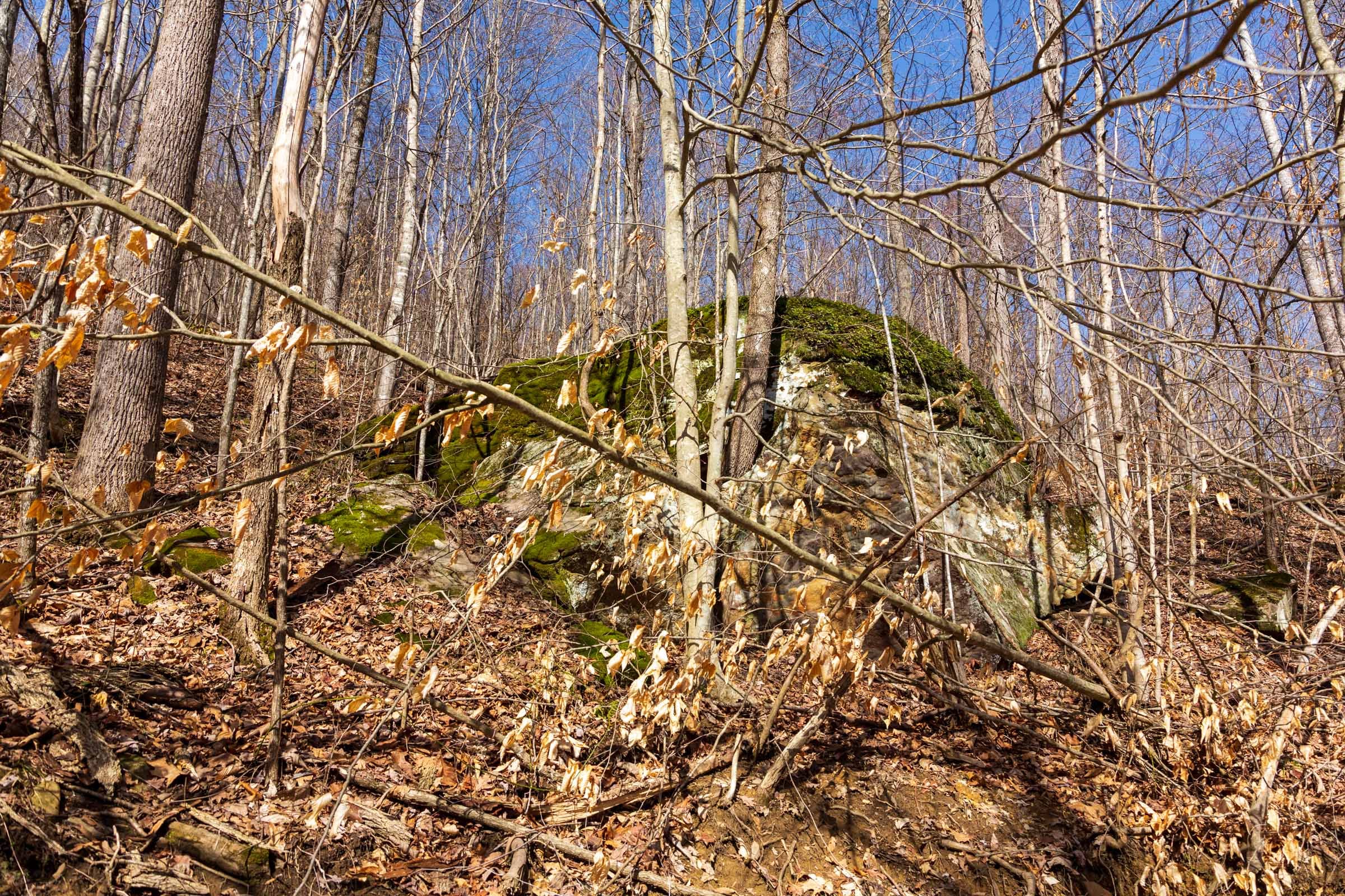 Blackstone Mountain Phase II Tract 81 photo 3