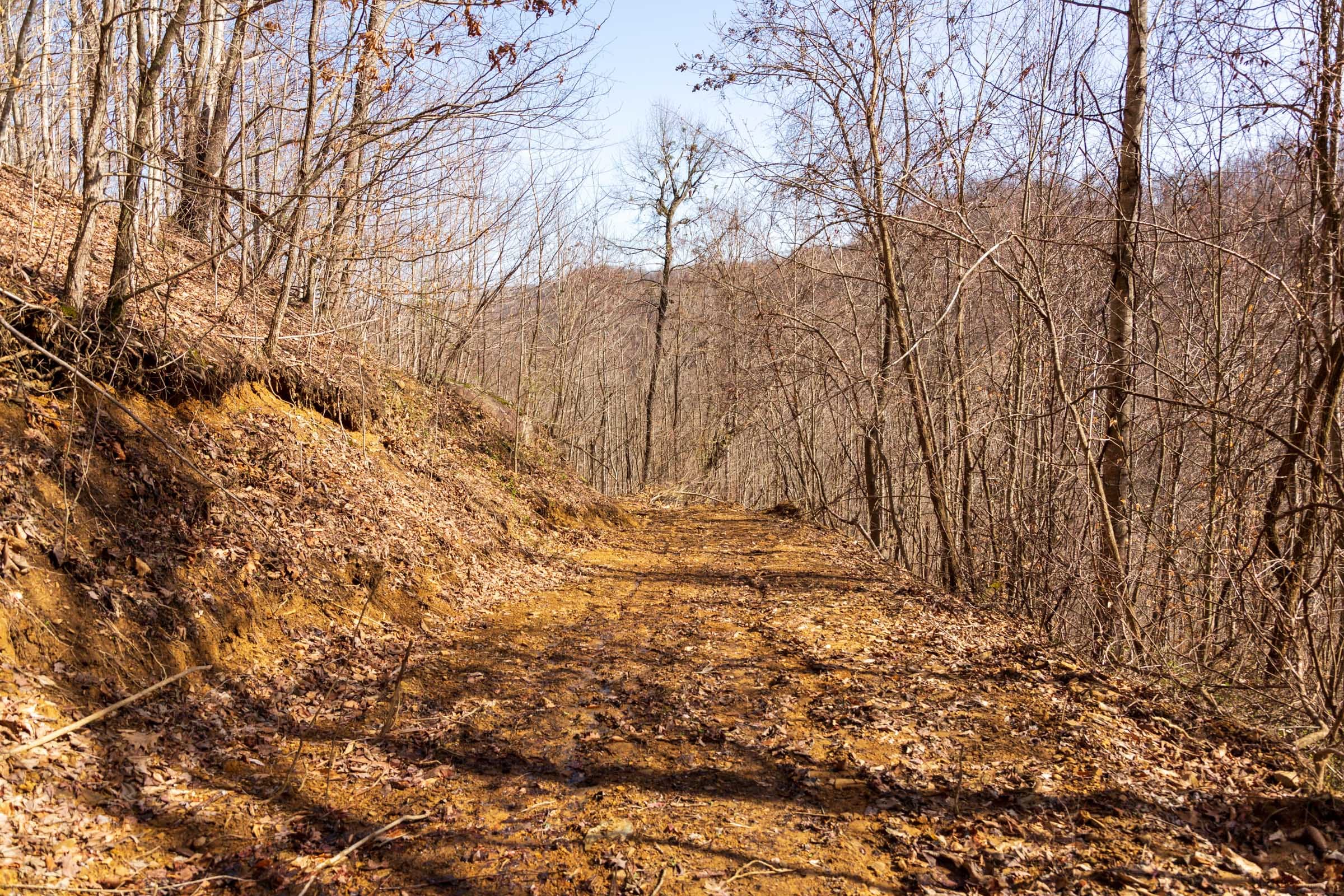 Blackstone Mountain Phase II Tract 81 photo 5