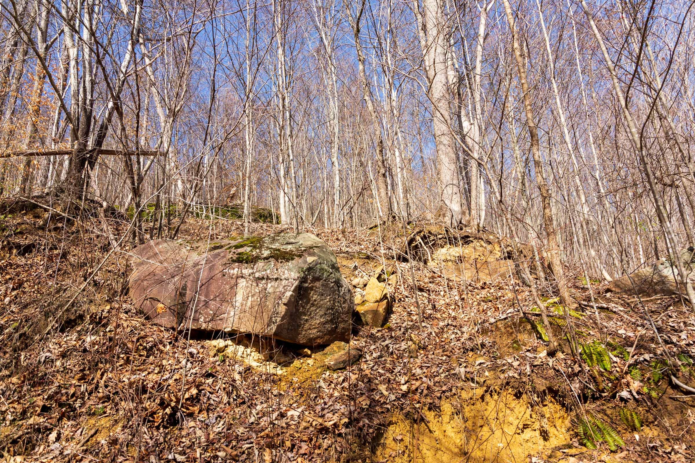 Blackstone Mountain Phase II Tract 81 photo 4