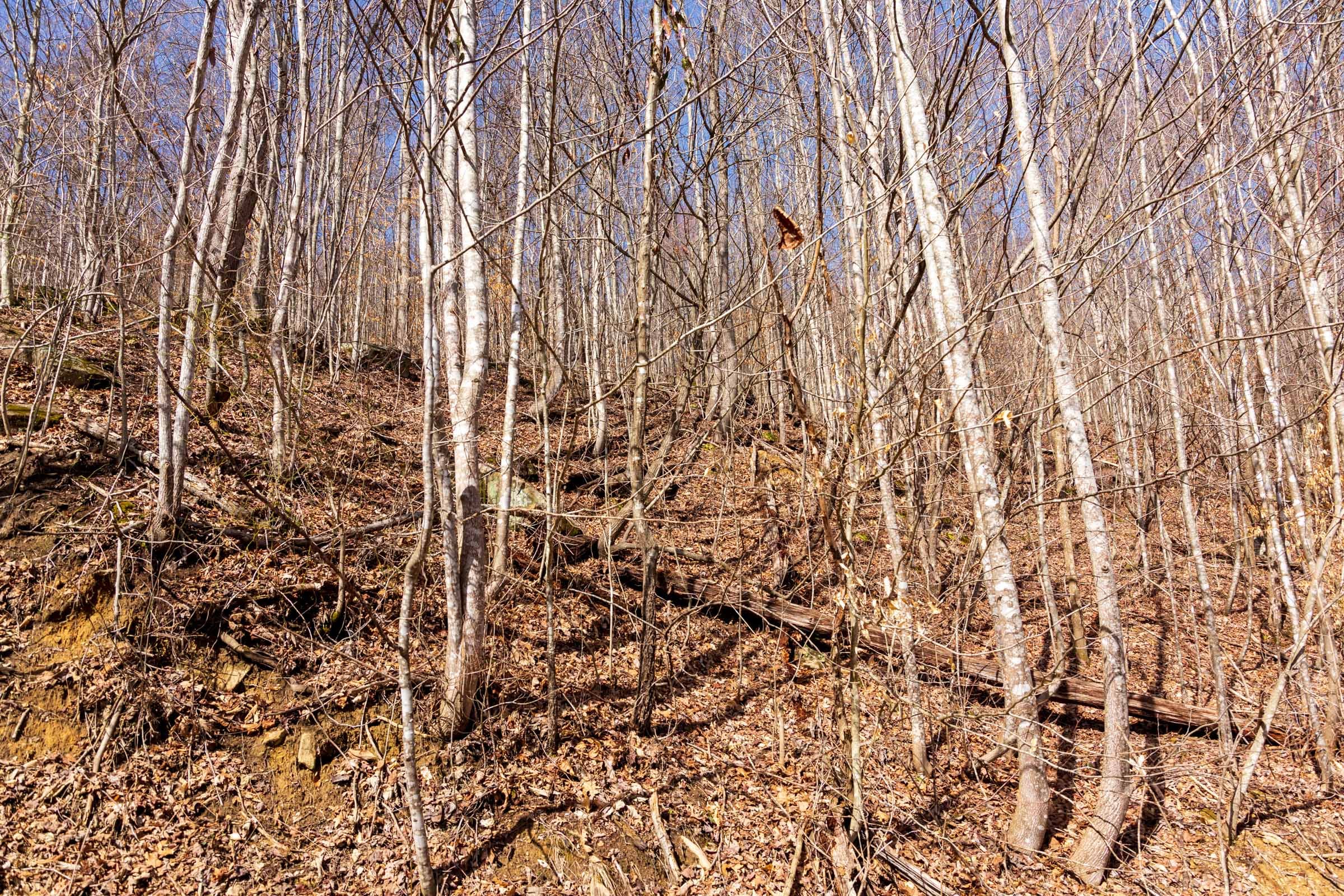 Blackstone Mountain Phase II Tract 81 photo 6