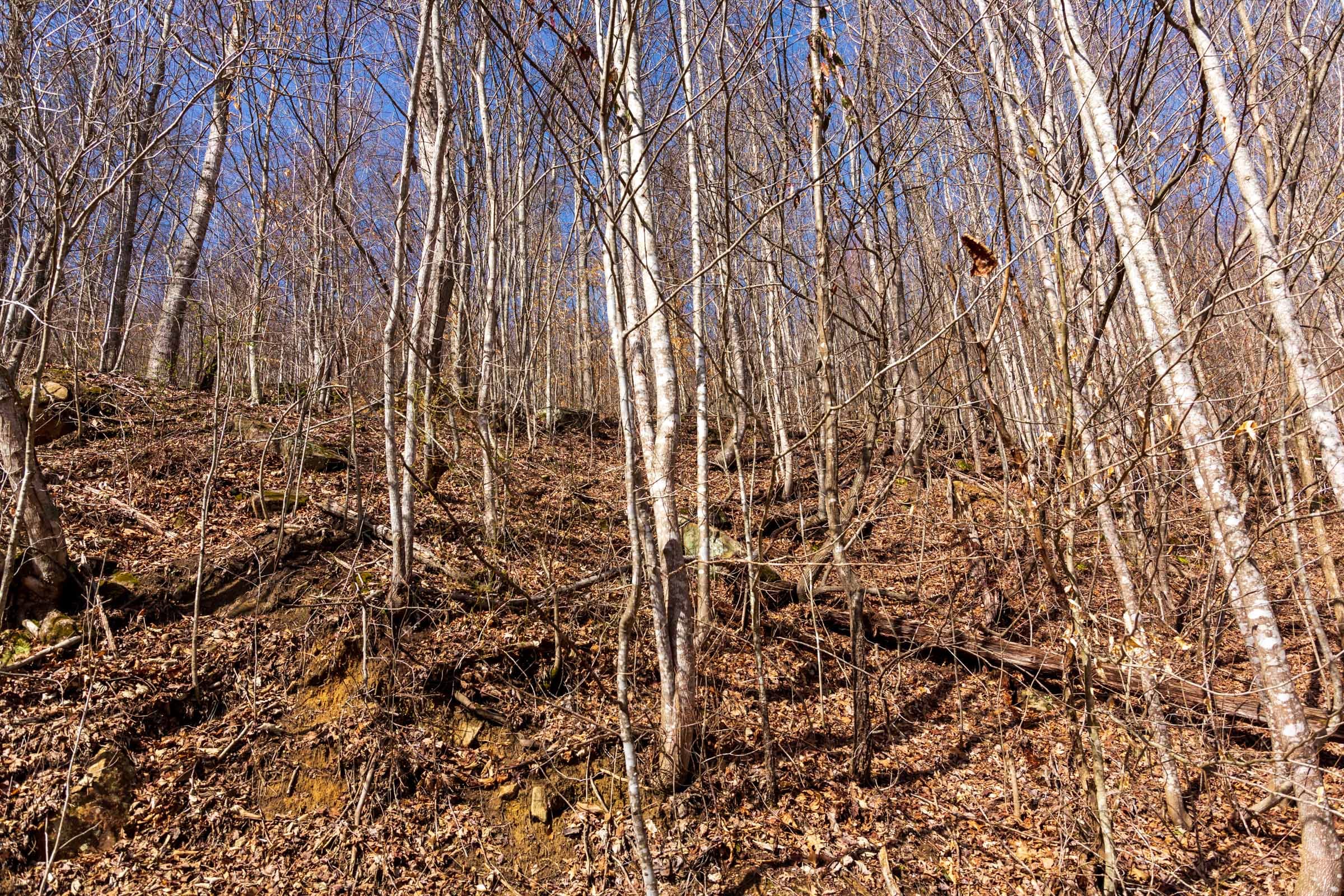 Blackstone Mountain Phase II Tract 81 photo 7