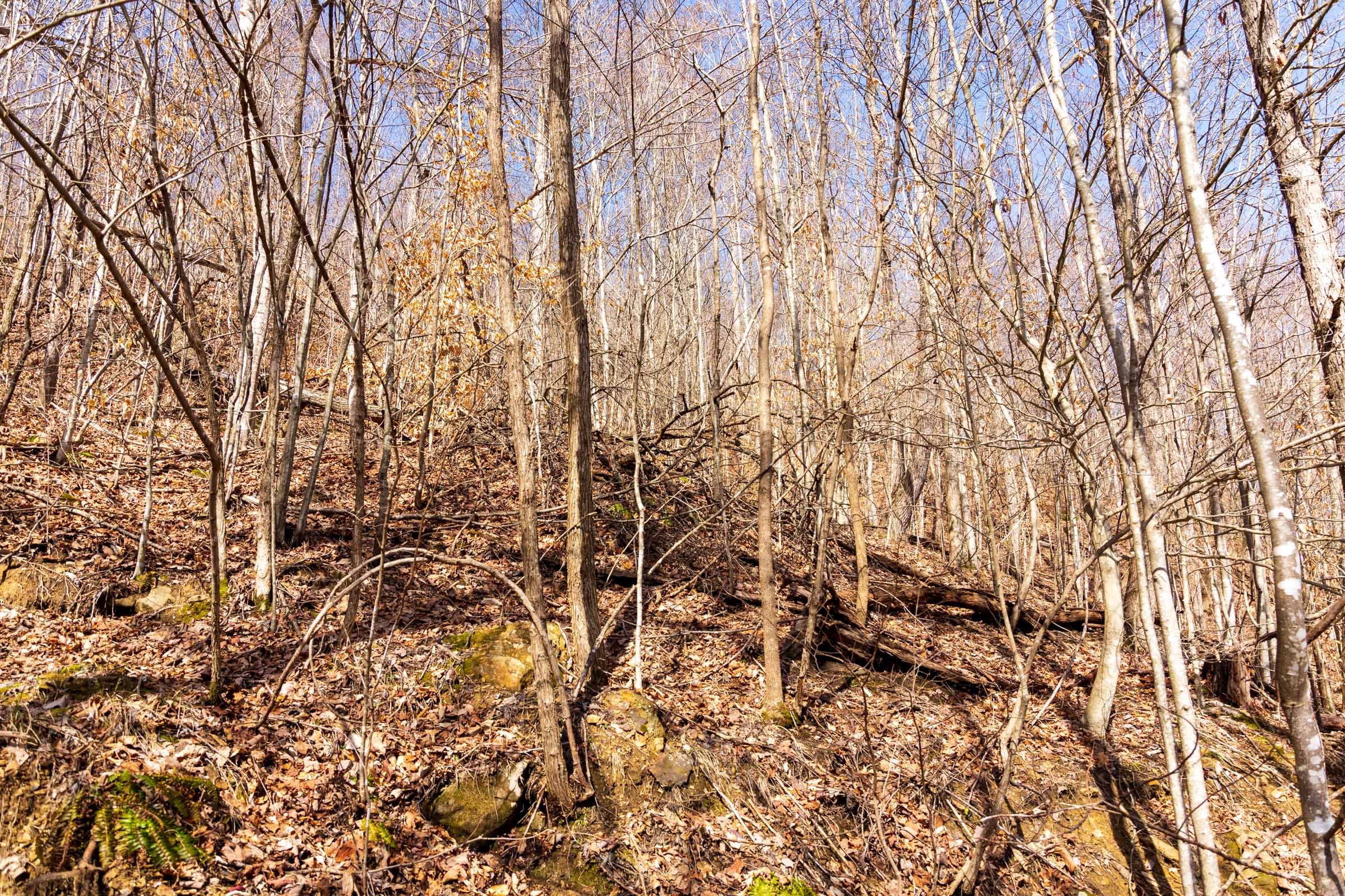 Blackstone Mountain Phase II Tract 81 photo 8