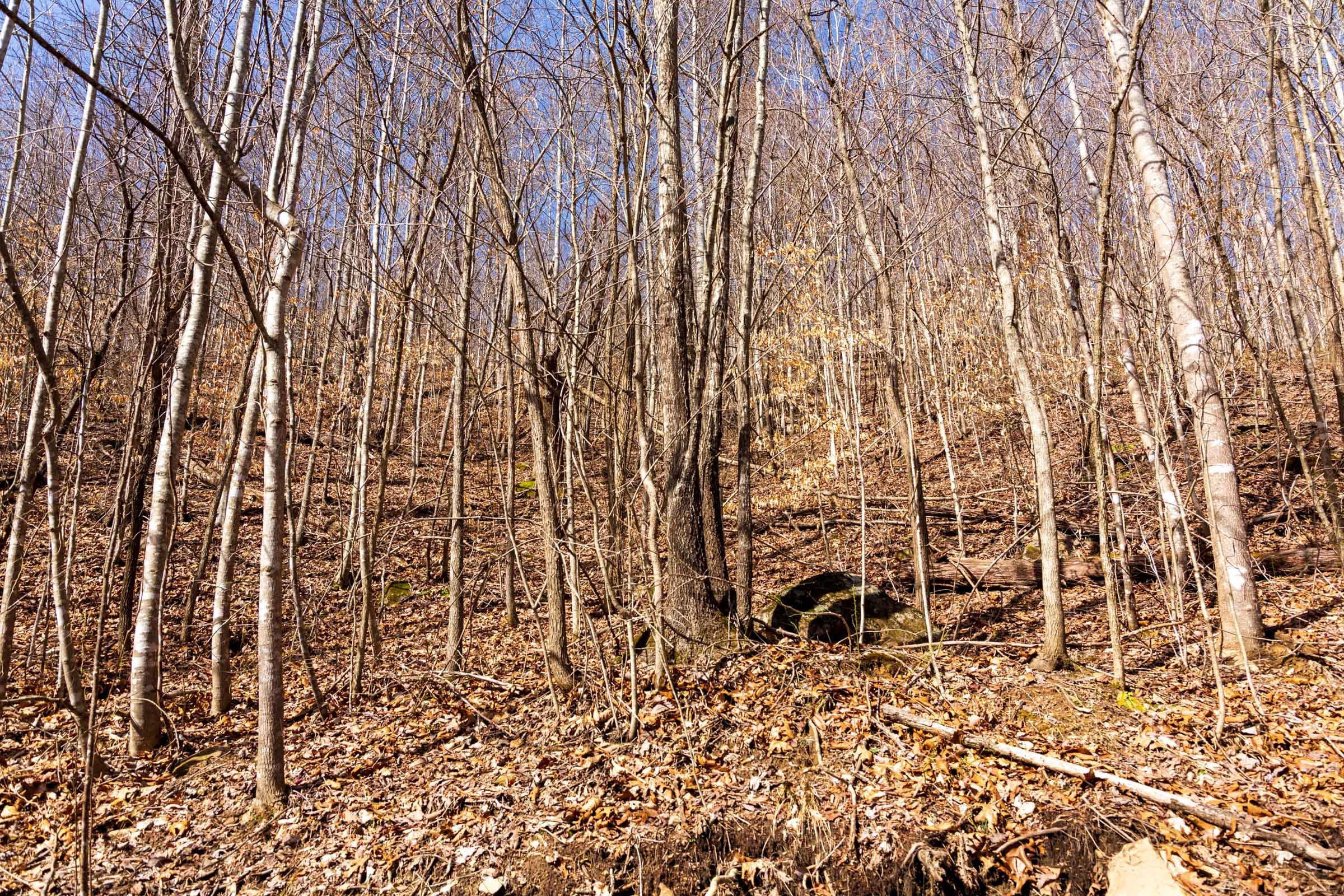 Blackstone Mountain Phase II Tract 81 photo 9