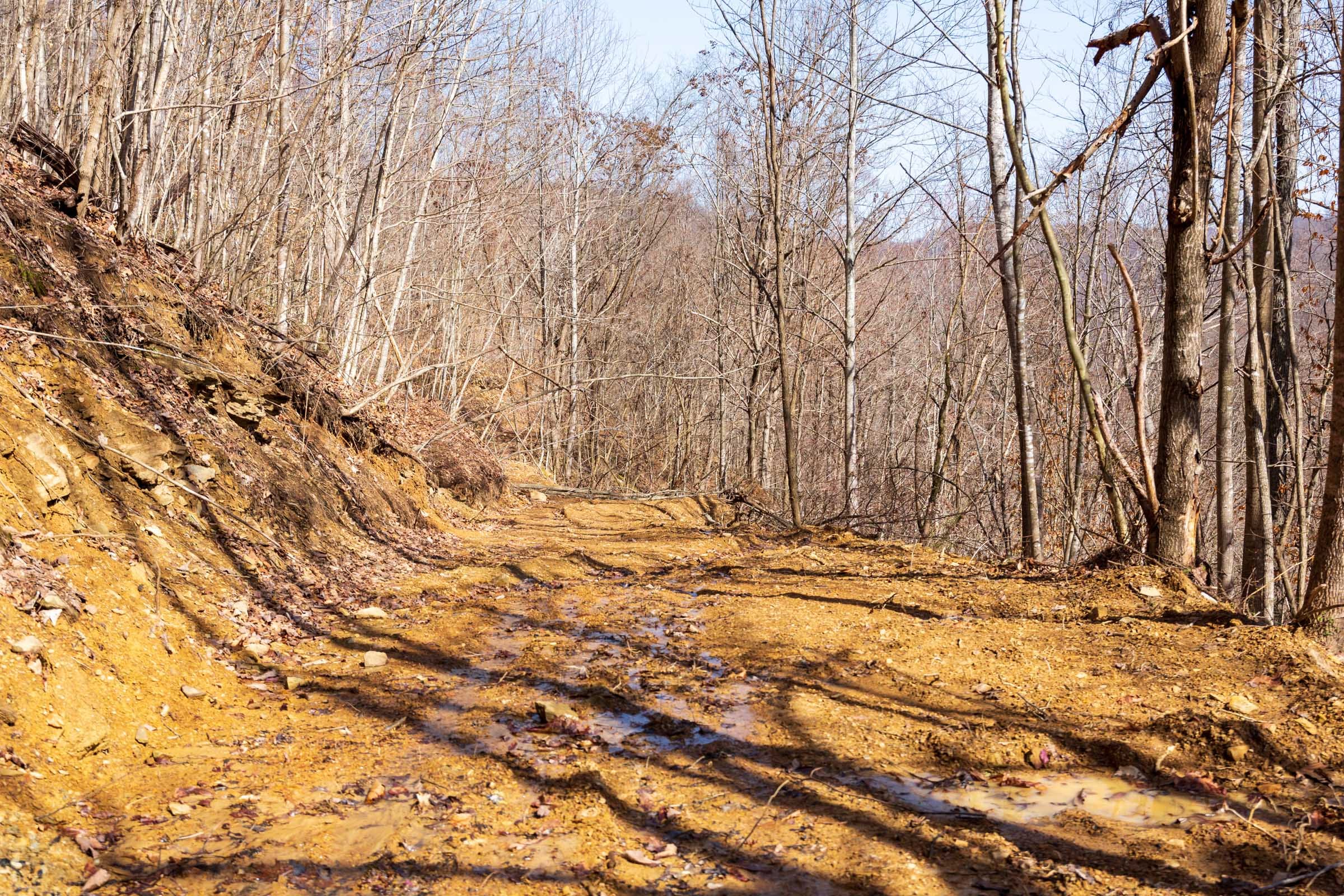 Blackstone Mountain Phase II Tract 81 photo 10
