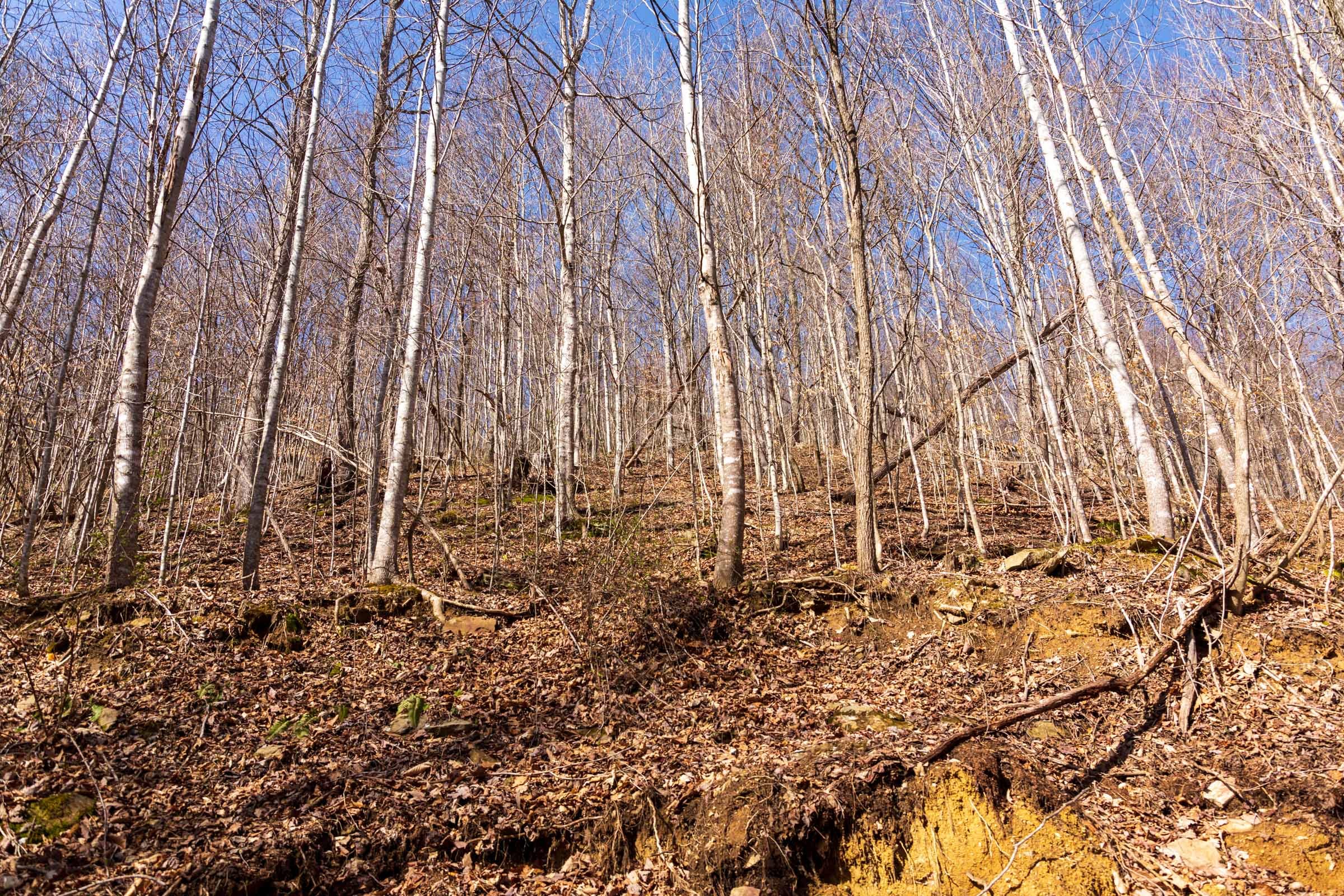 Blackstone Mountain Phase II Tract 81 photo 11