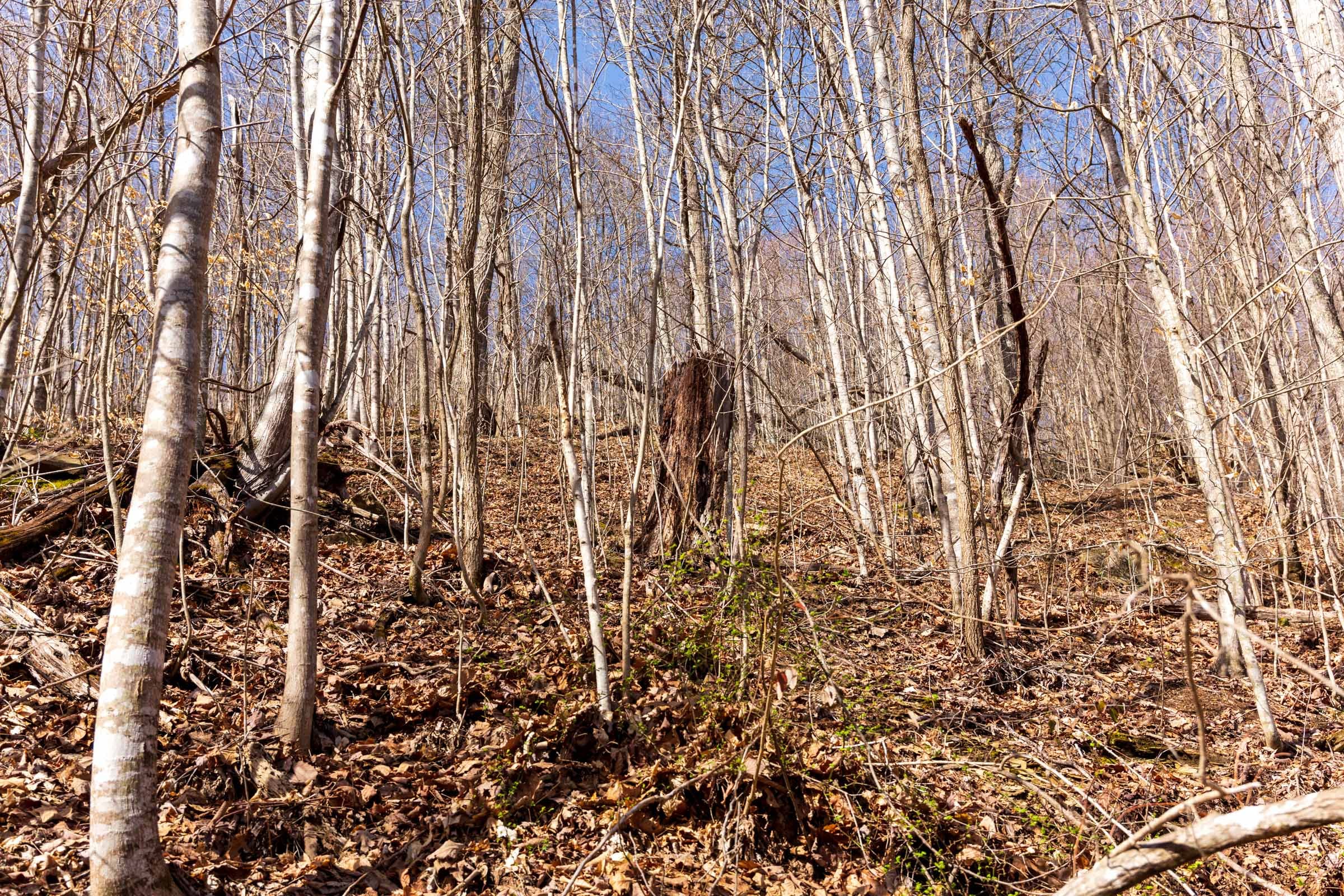 Blackstone Mountain Phase II Tract 81 photo 13