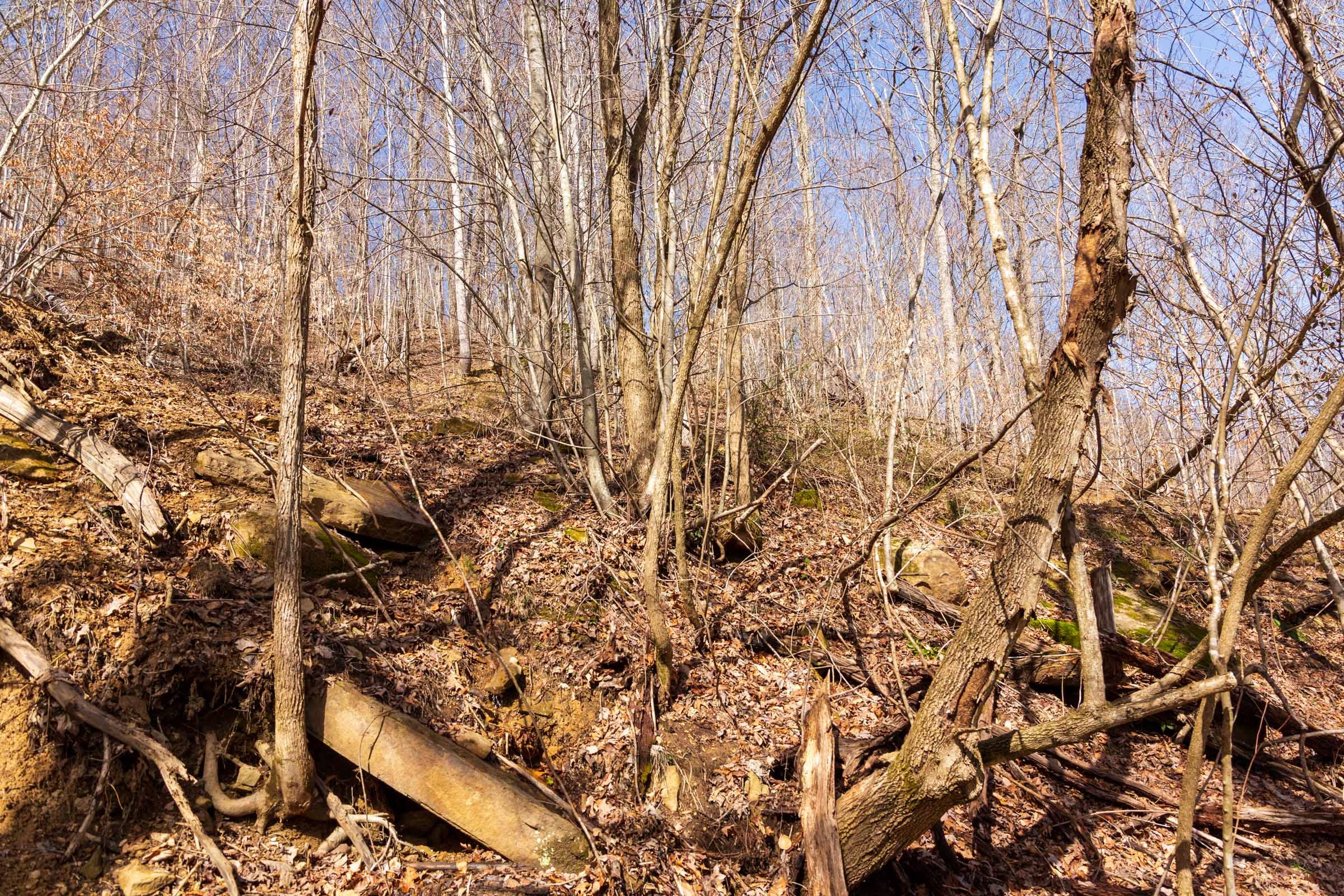 Blackstone Mountain Phase II Tract 81 photo 15
