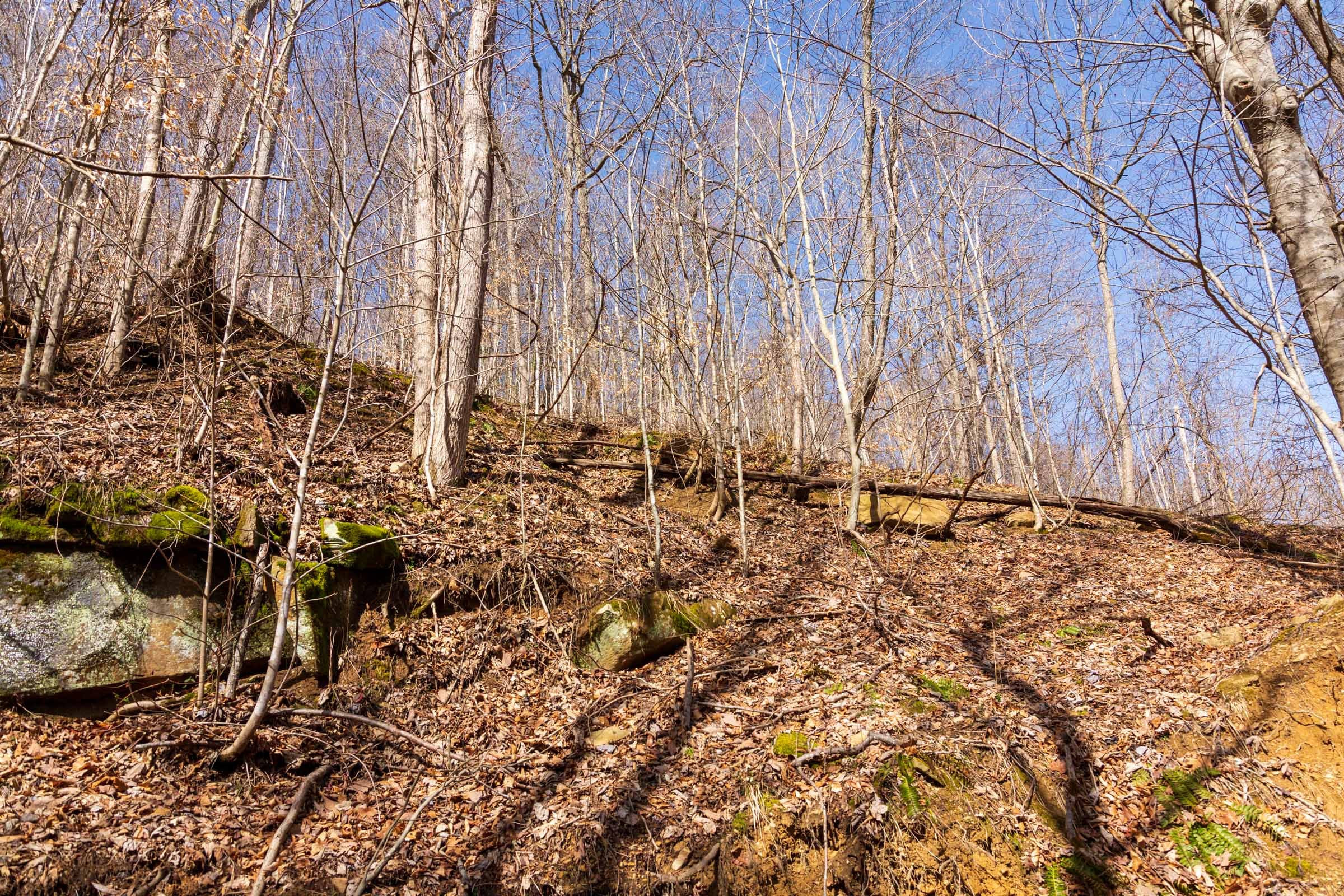 Blackstone Mountain Phase II Tract 81 photo 16