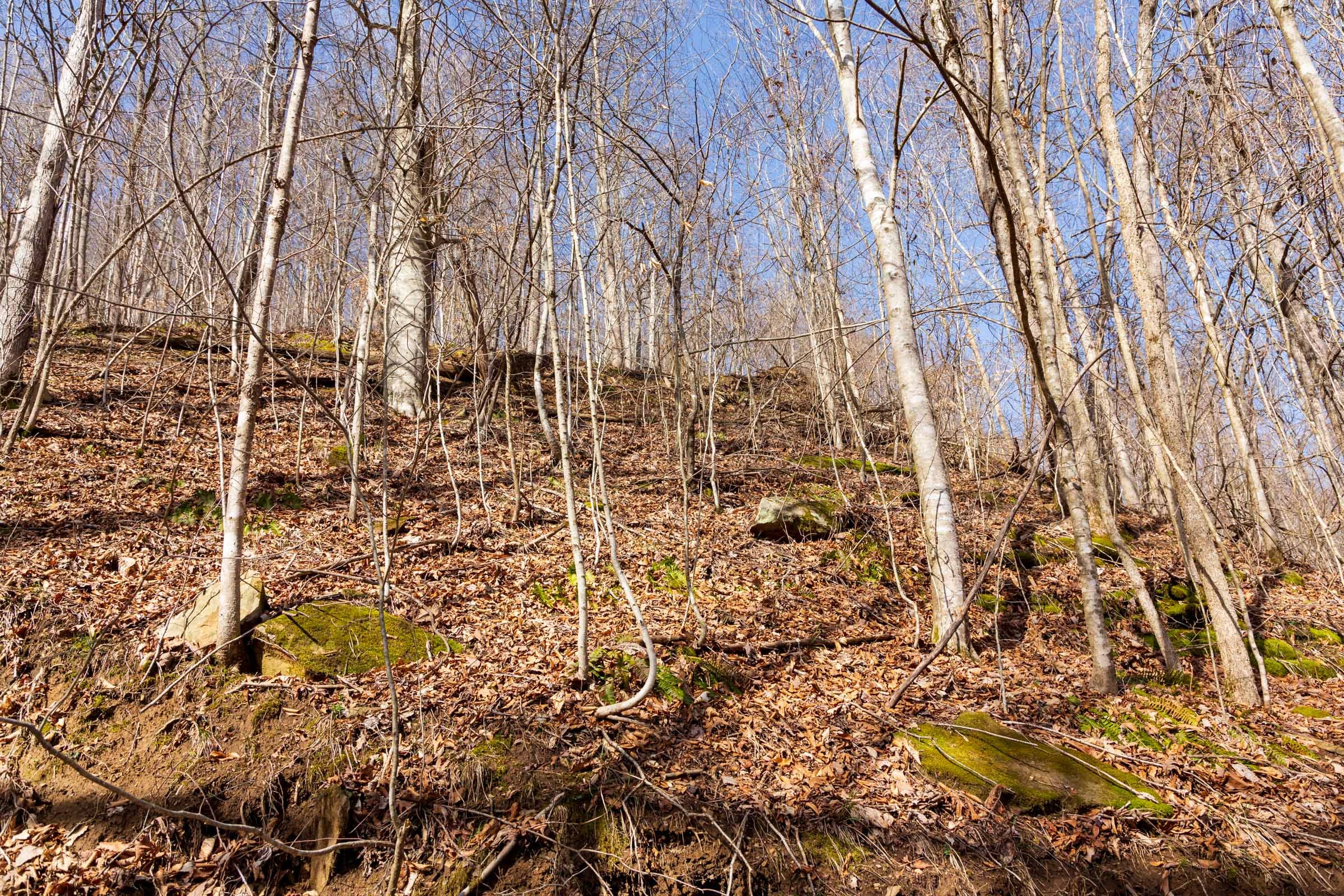 Blackstone Mountain Phase II Tract 81 photo 17
