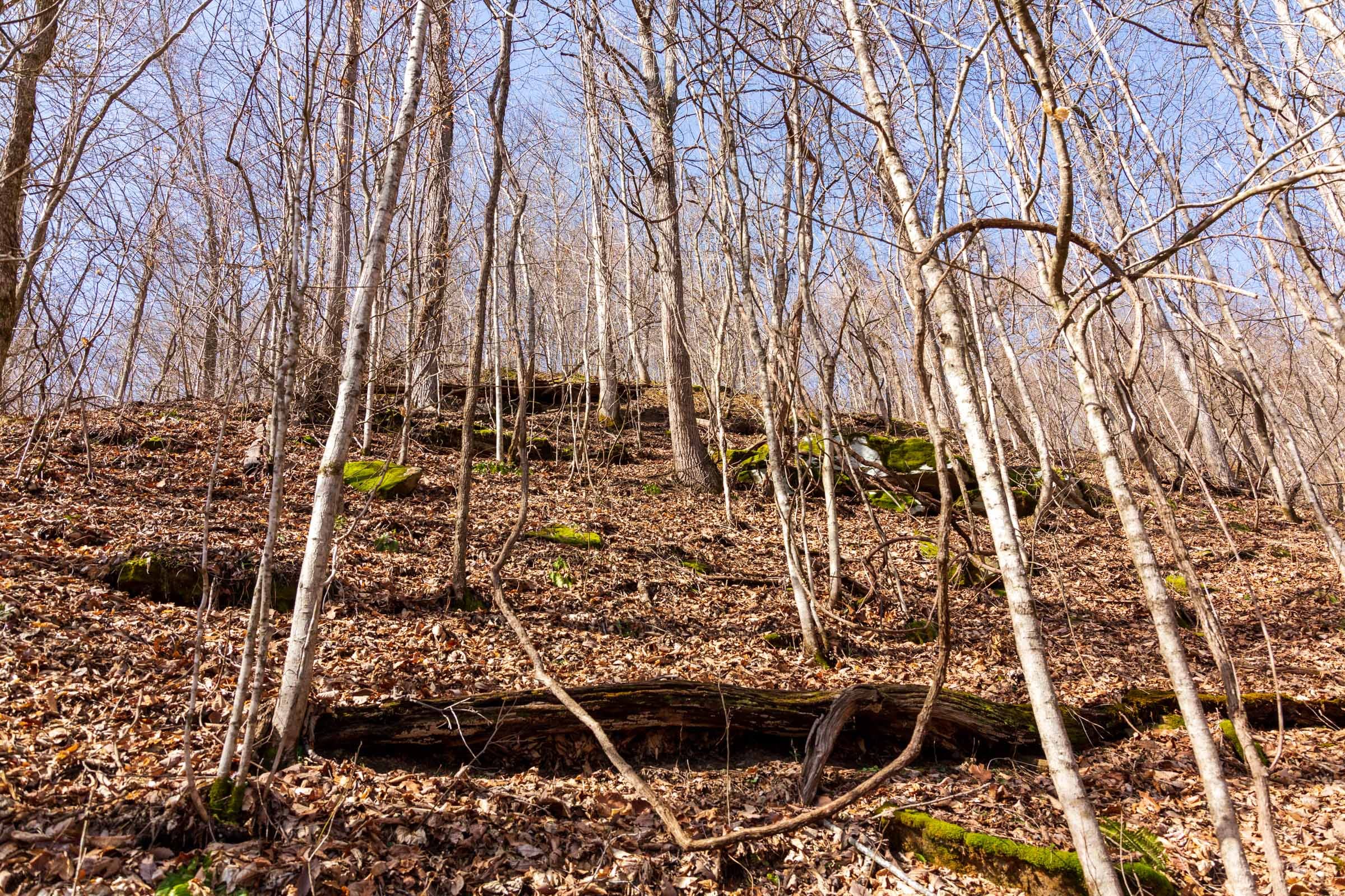 Blackstone Mountain Phase II Tract 81 photo 19