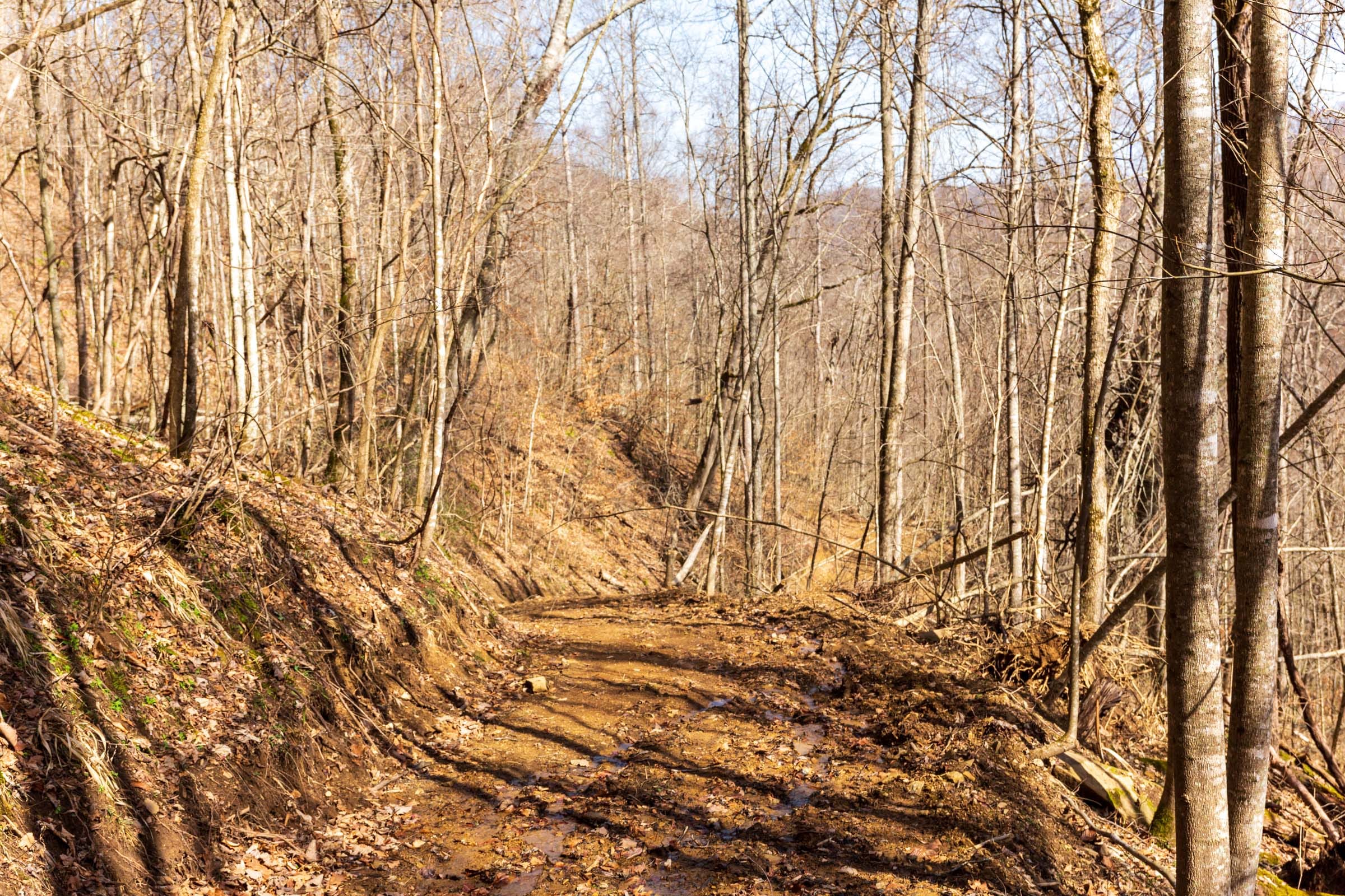 Blackstone Mountain Phase II Tract 81 photo 18