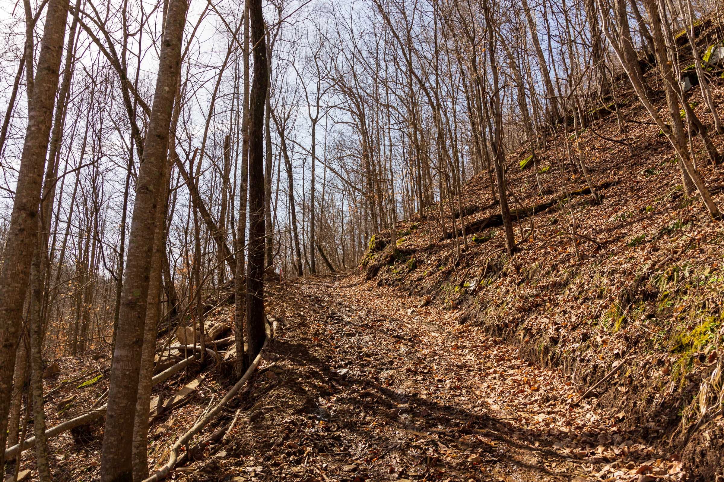 Blackstone Mountain Phase II Tract 81 photo 12