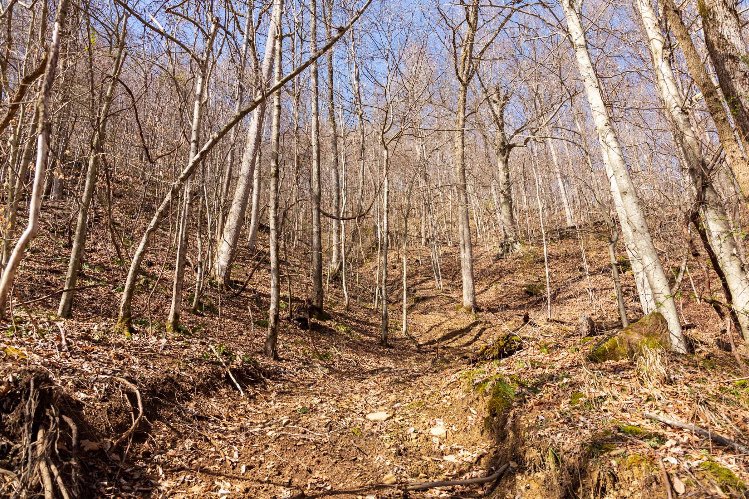 Blackstone Mountain Phase II Tract 81 photo 14